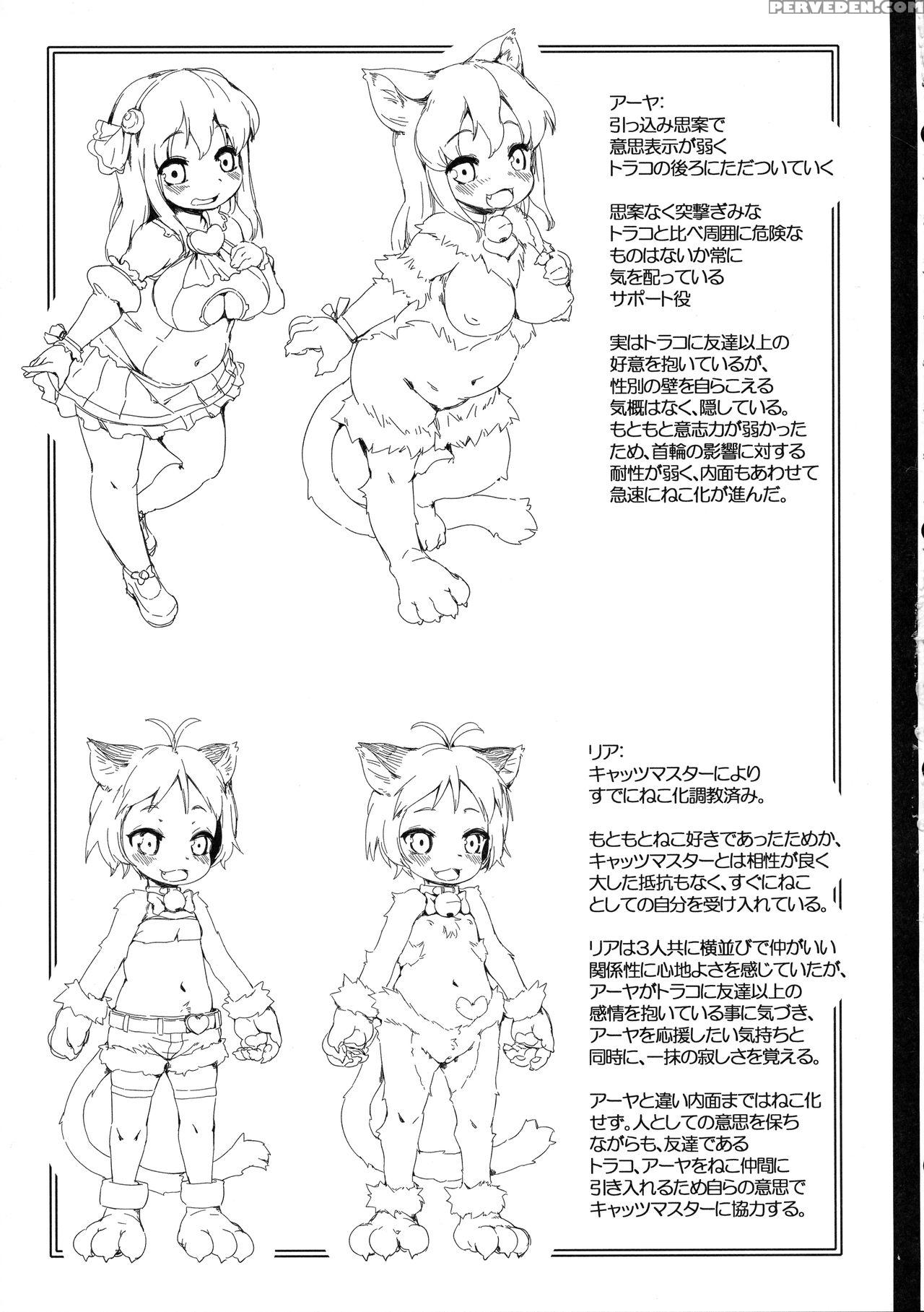 (c92) [nanamehan (hansharu)] Neko Ochi Shine Fairi... 1