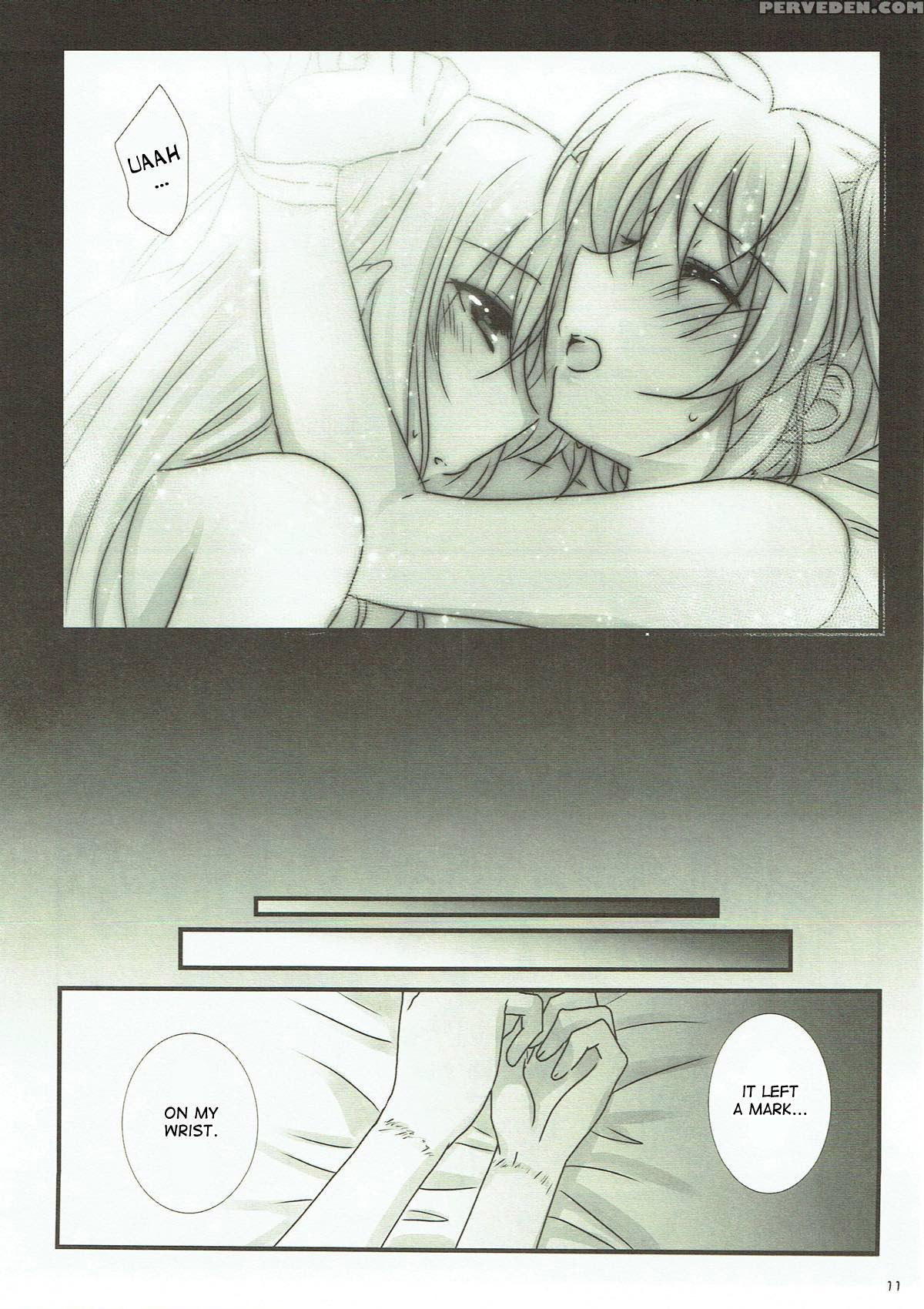 (c93) [ameiro (nanashiki)] Junketsu Dressage (mahou Shoujo Lyrical Nanoha) [english] [desudesu] 1