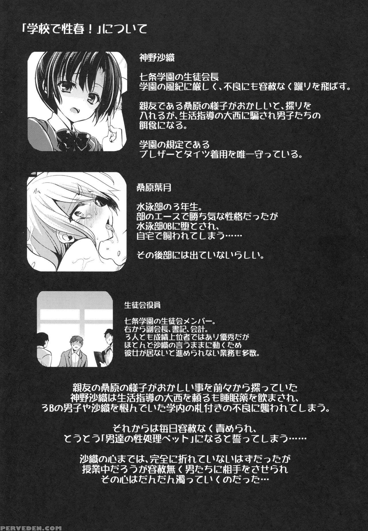 (c93) [otomekibun (sansyoku Amido.)] Gakkou De Seishun! 14 [english] [desudesu] 1