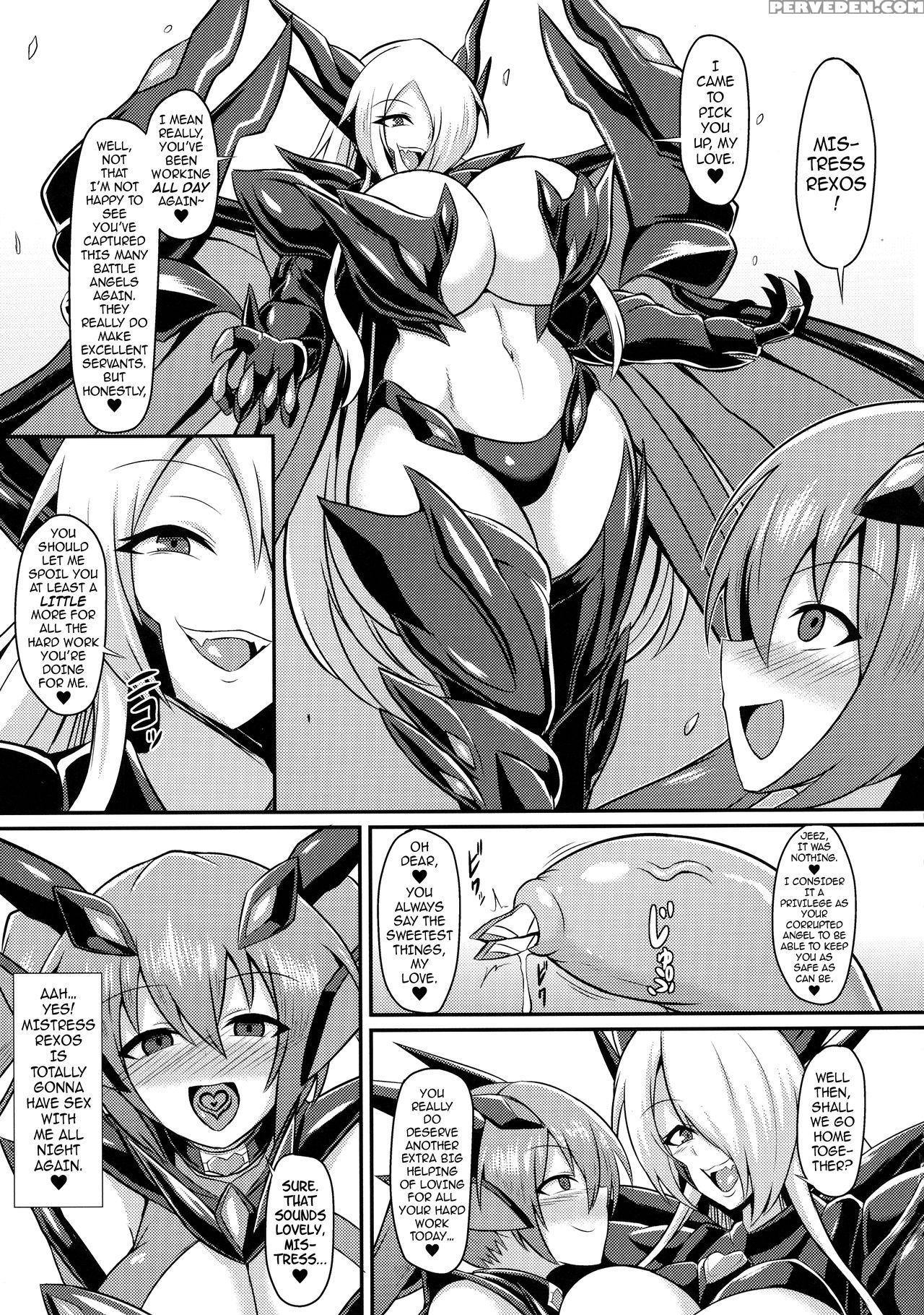 (c94) [ikameshi Shokudou (ikameshi)] Seisenki Iris... 1