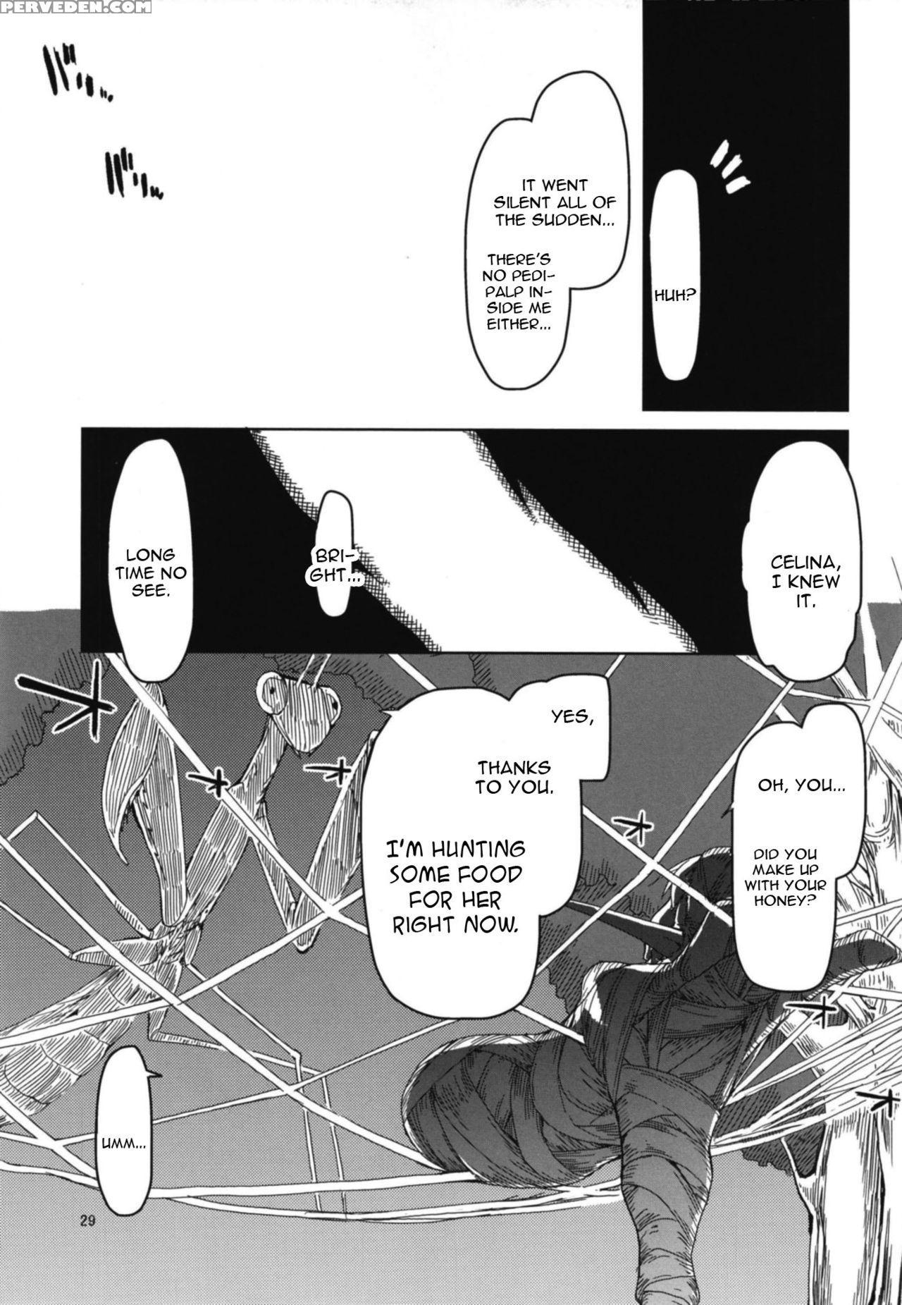 (c94) [metamor (ryo)] Dosukebe Elf No Ishukan Nikk... 1