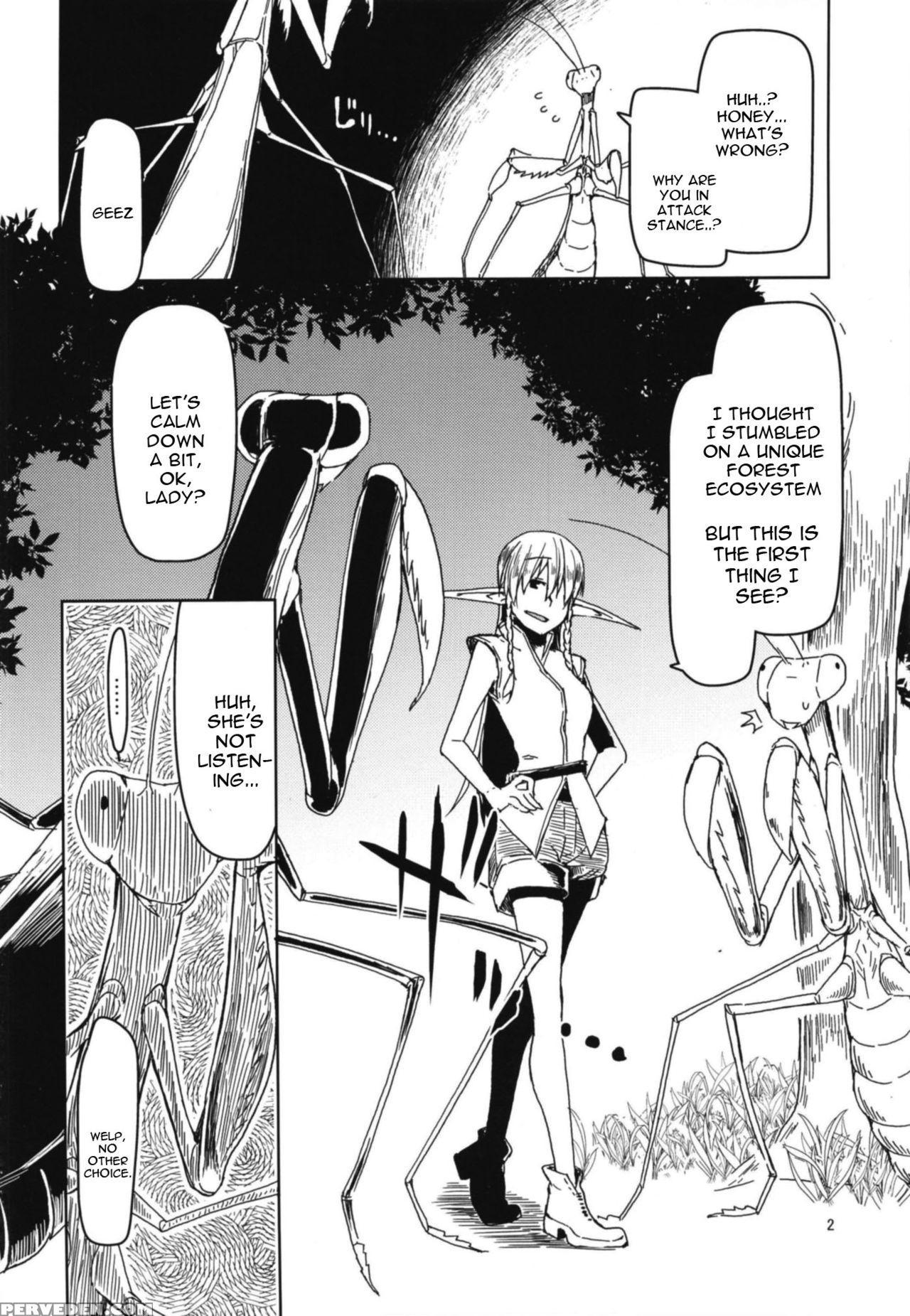 (c94) [metamor (ryo)] Dosukebe Elf No Ishukan Nikk... 1