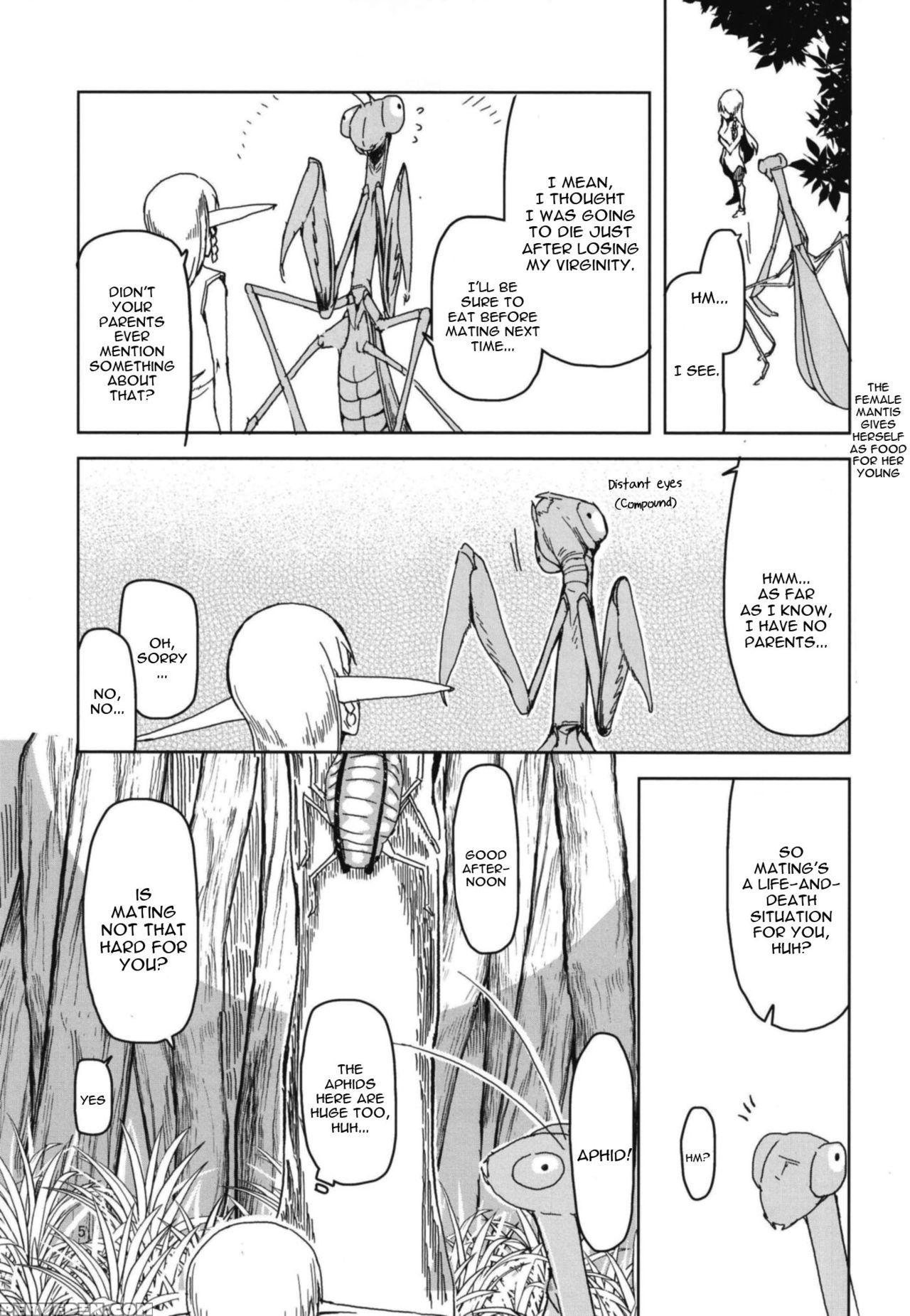 (c94) [metamor (ryo)] Dosukebe Elf No Ishukan Nikk... 1