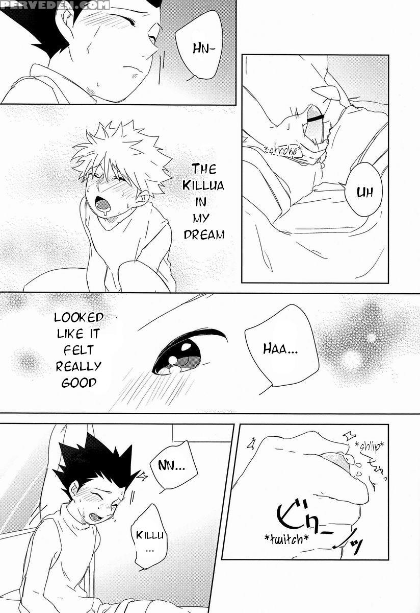 (climax Hunt 5) [fukahire (hekiru)] Rifujin Wa Gokigen | Happy Nonsense (hunter X Hunter) [english] [hxh-doujinshilivejournal] 1