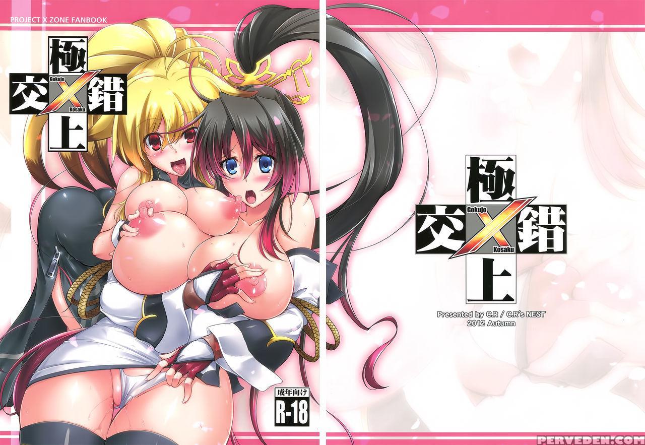 (futaket 8.5) [c.r's Nest (c.r)] Gokujou Kousaku (project X Zone) [english] [decensored] 1