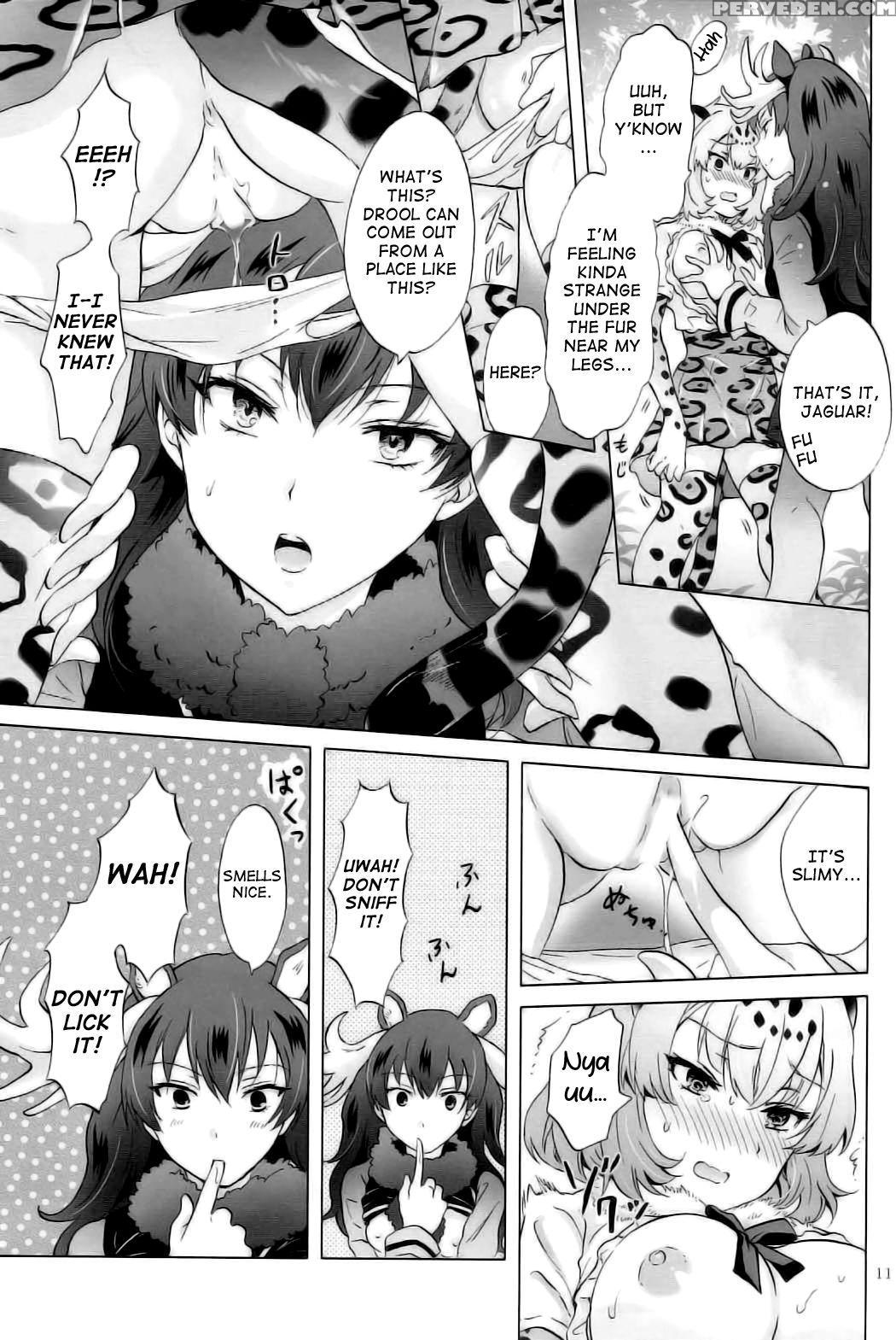 (girls Love Festival 21) [peachpulsar (mira)] Jaguar Wa Tabun Tatakawanai | Jaguar (probably) Doesn't Fight (kemono Friends) [english] 1