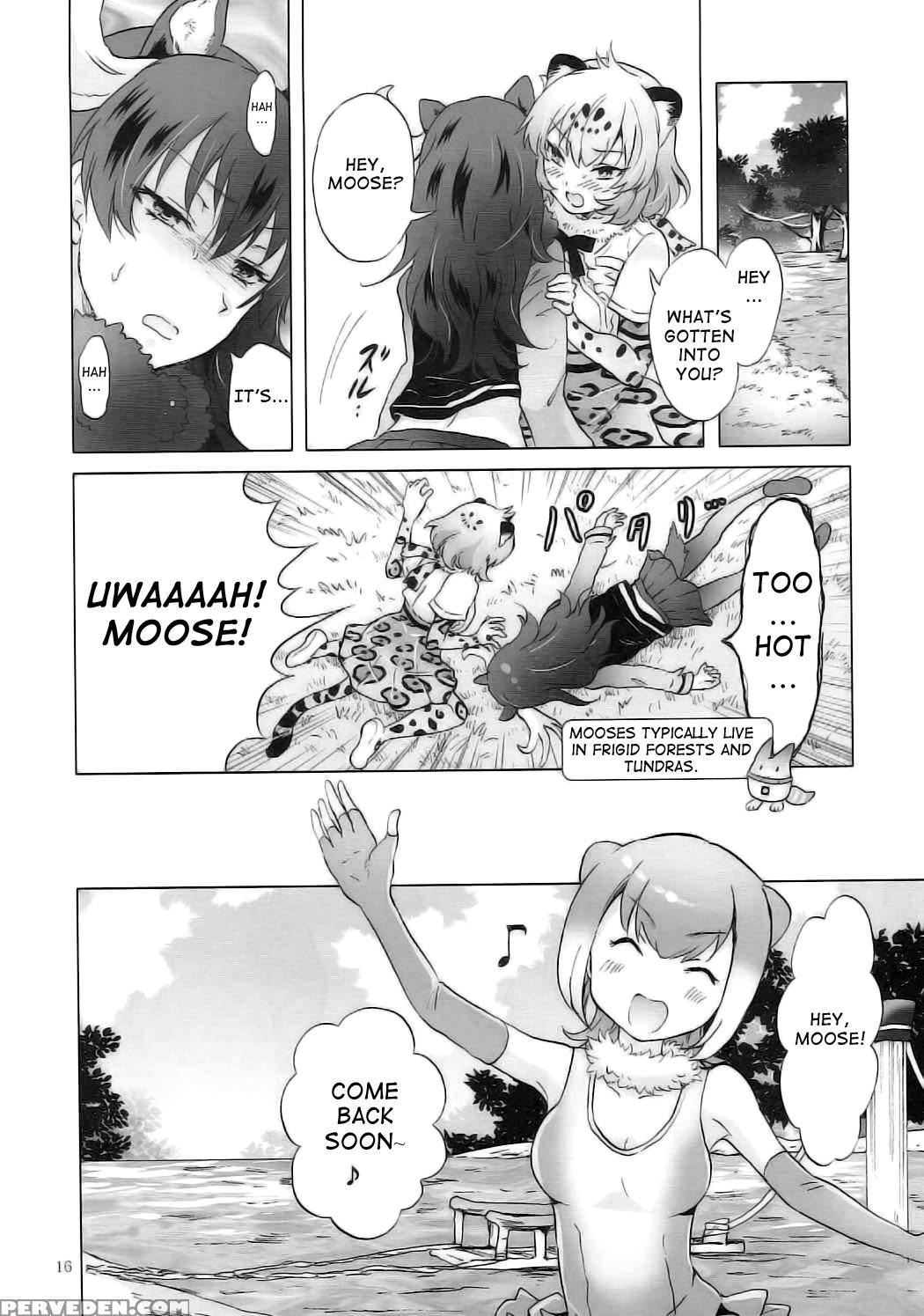 (girls Love Festival 21) [peachpulsar (mira)] Jaguar Wa Tabun Tatakawanai | Jaguar (probably) Doesn't Fight (kemono Friends) [english] 1