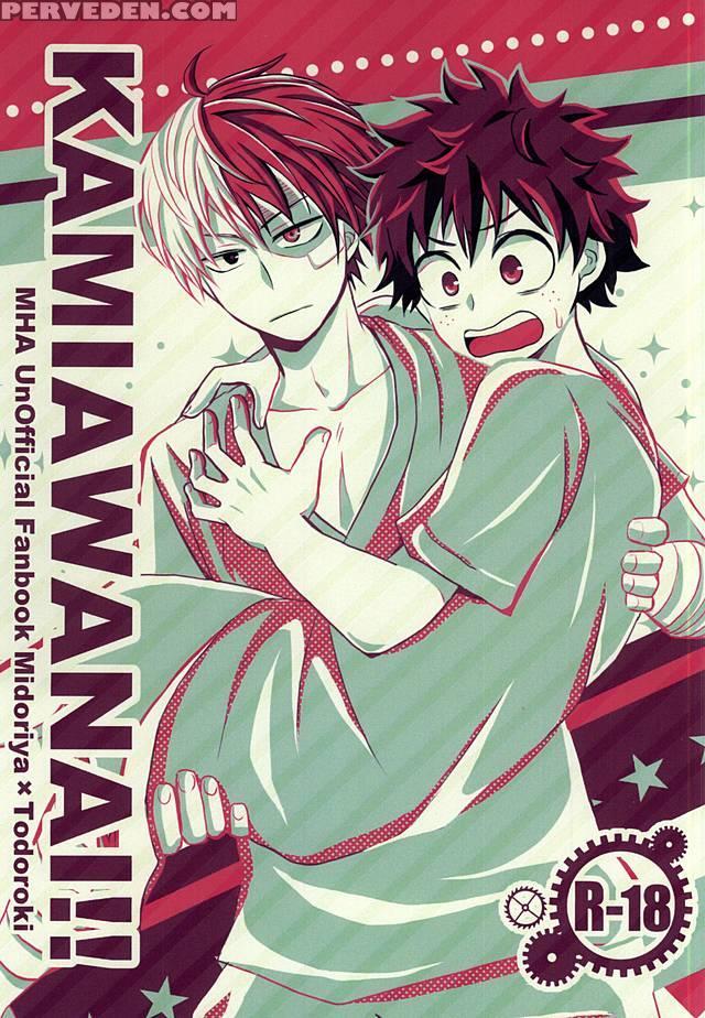 (hanjuku Hero Life 2) [palin (hirano)] Kamiawanai!! (my Hero Academia) [english] 1