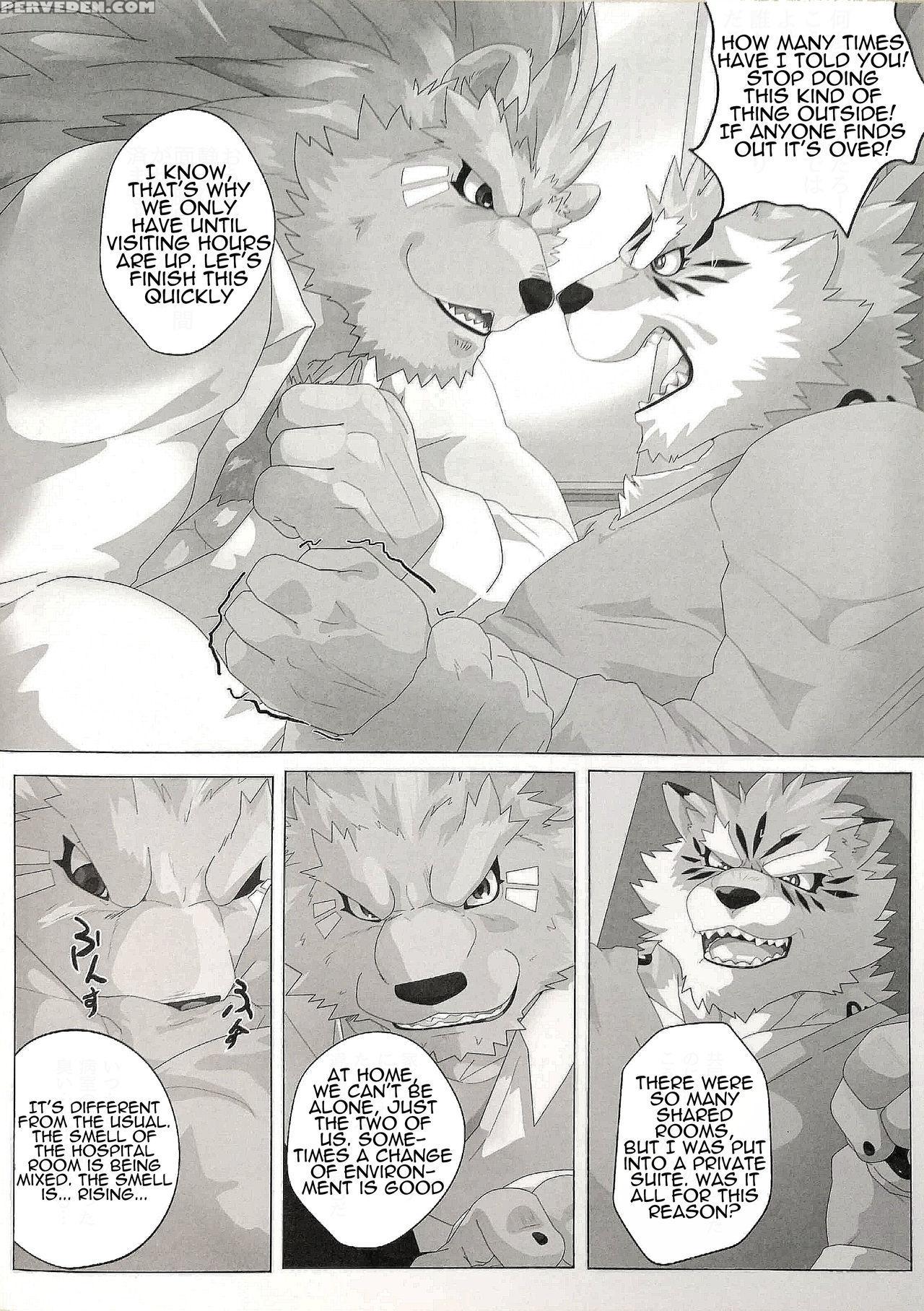(kemoket 6) [kusariku (devilob)] My Father! [english] 1