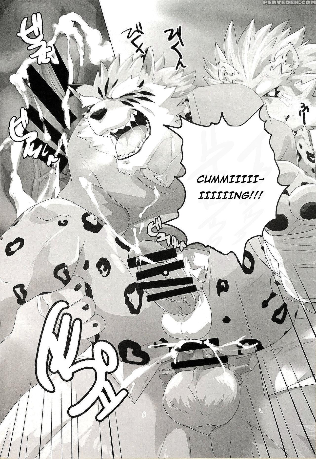 (kemoket 6) [kusariku (devilob)] My Father! [english] 1