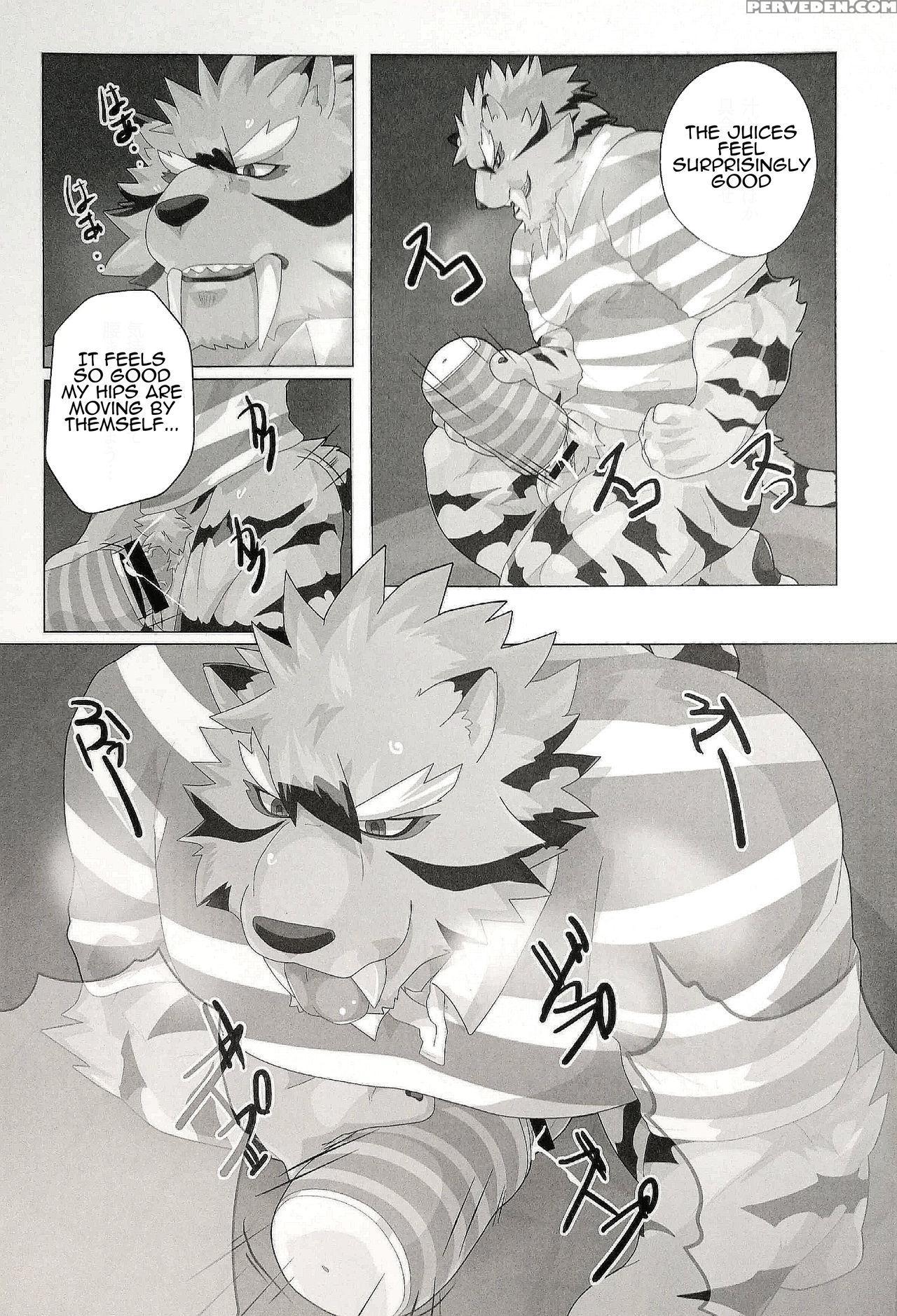 (kemoket 6) [kusariku (devilob)] My Father! [english] 1