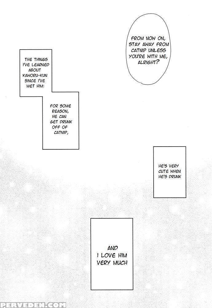 (kimi To No Rendan 5) [nicomarch (plico)] Shito-sama Yoidore Mode Desu | An Intoxicated Angel (neon Genesis Evangelion) [english] [tyroluuki] 1