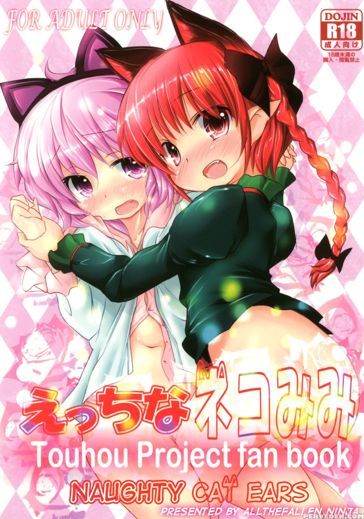 (kouroumu 7) [inyu-goya (inyucchi)] Ecchi-na Nekomimi (touhou Project) [english] [atf] 1