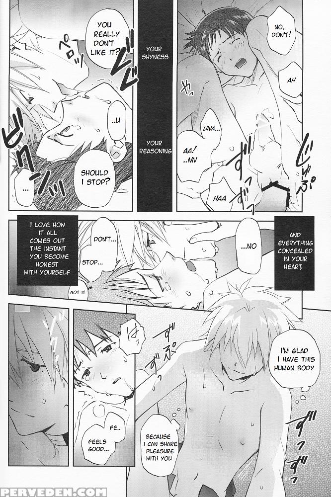 (mimiket 29) [getsumen-spiral (mayama Satori)] Sexuality No Risouron (neon Genesis Evangelion) [english] [tyroluuki] 1