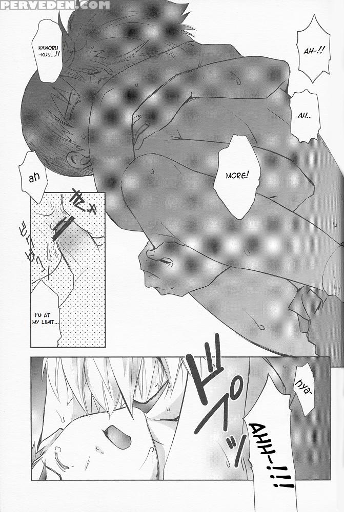 (mimiket 29) [getsumen-spiral (mayama Satori)] Sexuality No Risouron (neon Genesis Evangelion) [english] [tyroluuki] 1