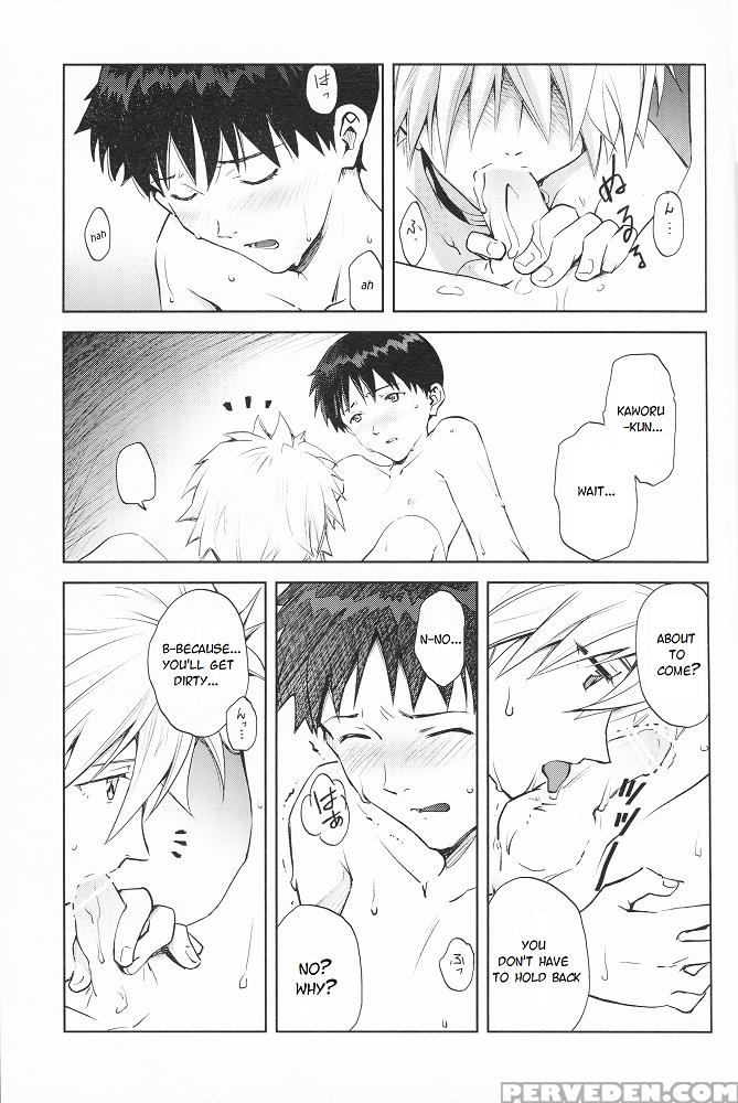 (mimiket 29) [getsumen-spiral (mayama Satori)] Sexuality No Risouron (neon Genesis Evangelion) [english] [tyroluuki] 1