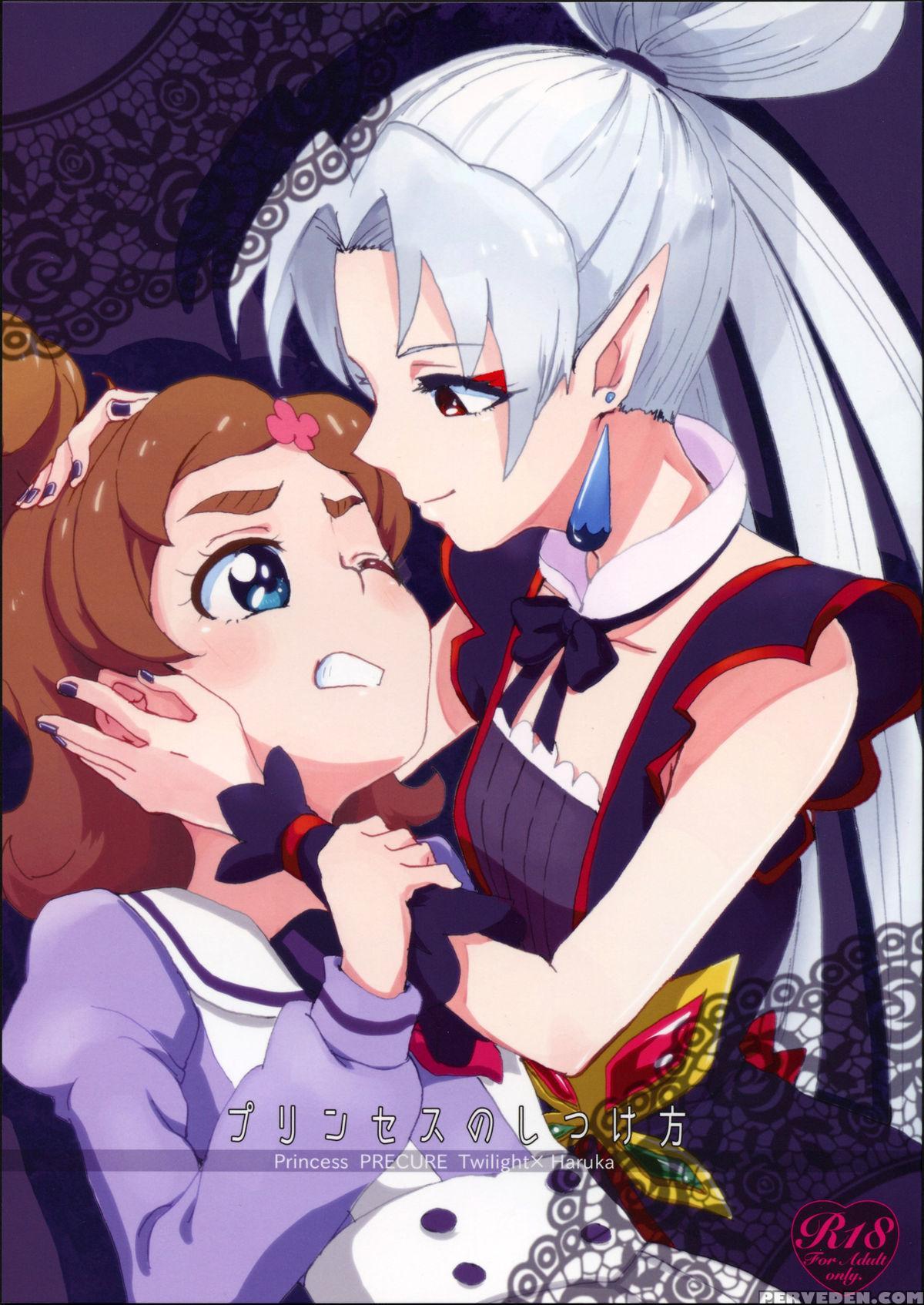 (rainbow Flavor 13) [yukirinrin! (oyu)] Princess No Shitsukekata | Princess Training (go! Princess Precure) [english] 1