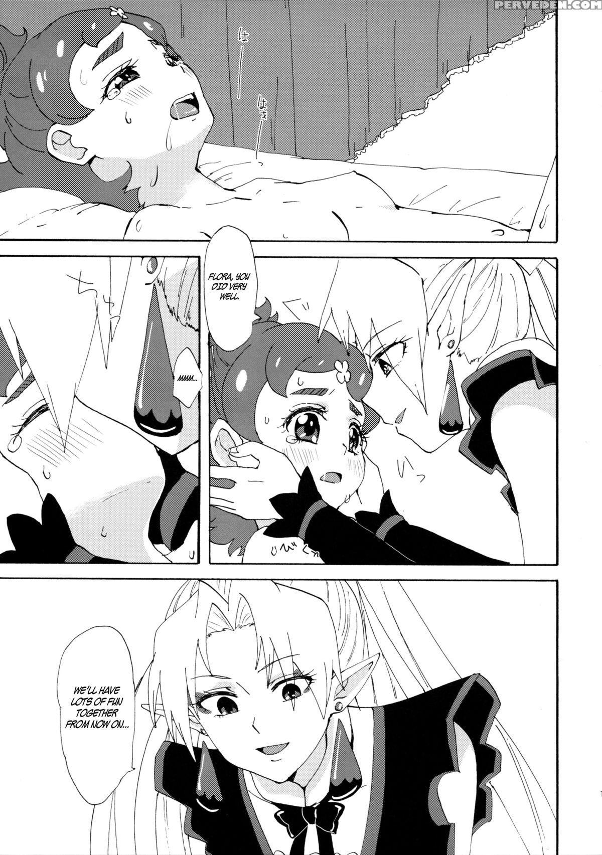 (rainbow Flavor 13) [yukirinrin! (oyu)] Princess No Shitsukekata | Princess Training (go! Princess Precure) [english] 1