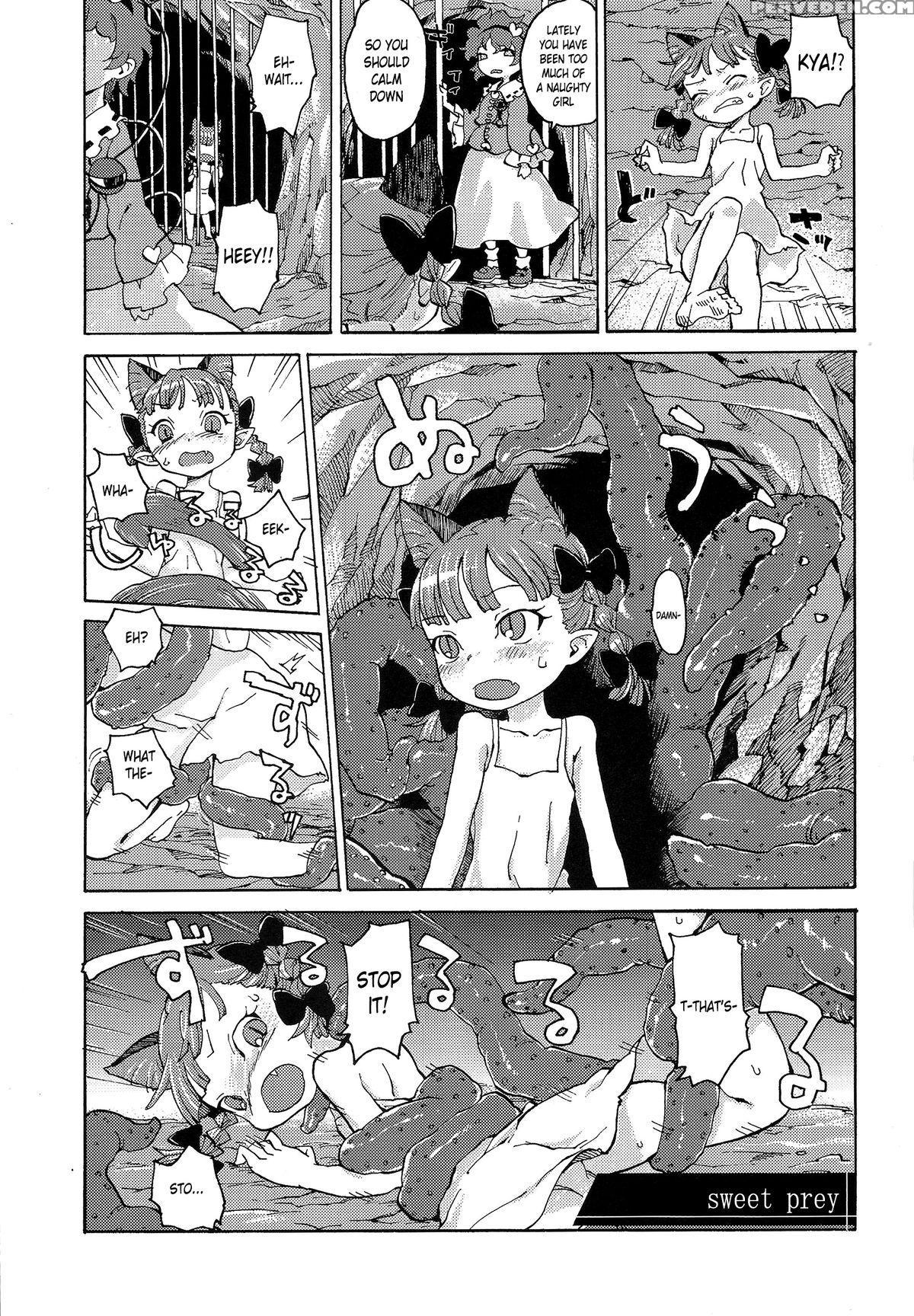 (reitaisai 11) [wasre Kaban (nametake)] Heaven And Hell (touhou Project) [english] 1