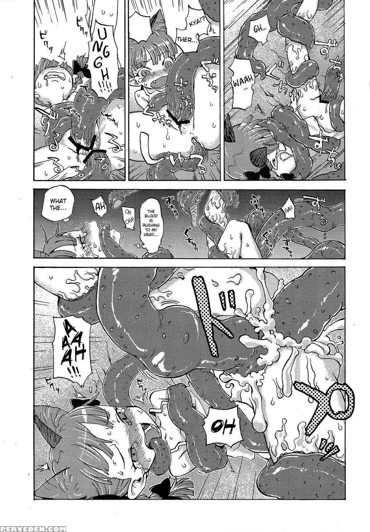 (reitaisai 11) [wasre Kaban (nametake)] Heaven And Hell (touhou Project) [english] 1