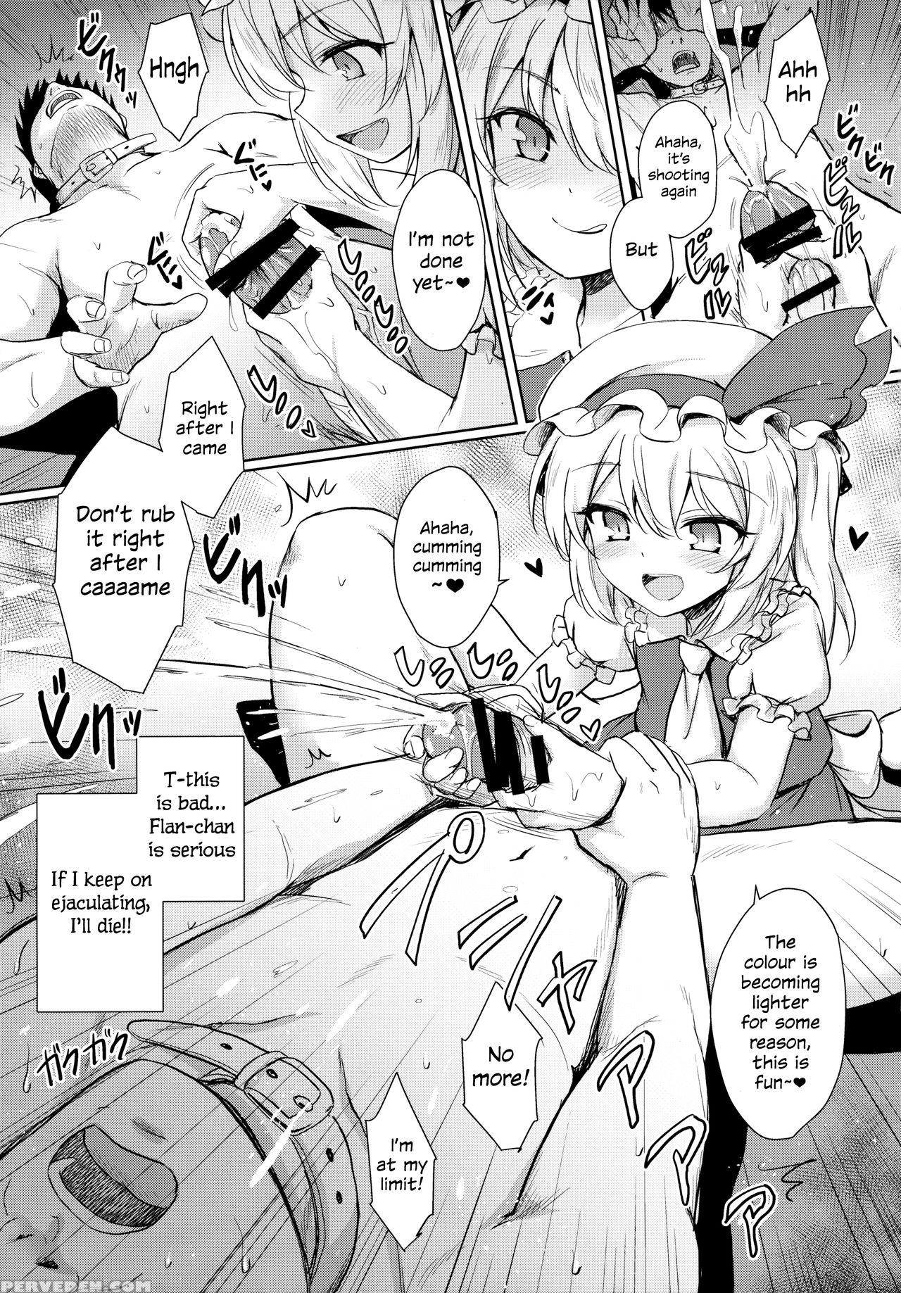 (reitaisai 13) [54burger (marugoshi)] Flan-chan No Pet | Flan-chan's Pet (touhou Project) [english] [s.t.a.l.k.e.r] 1
