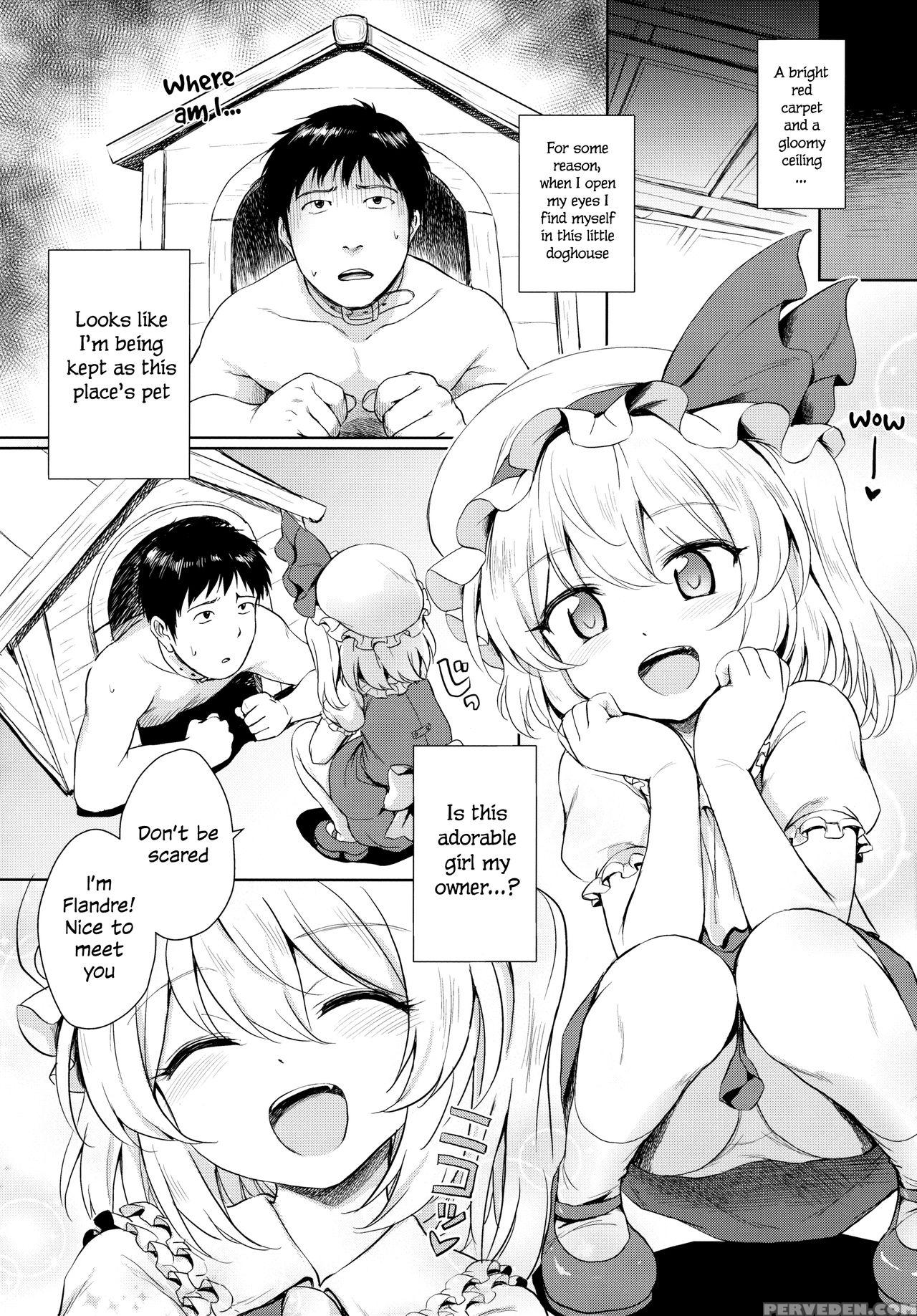 (reitaisai 13) [54burger (marugoshi)] Flan-chan No Pet | Flan-chan's Pet (touhou Project) [english] [s.t.a.l.k.e.r] 1