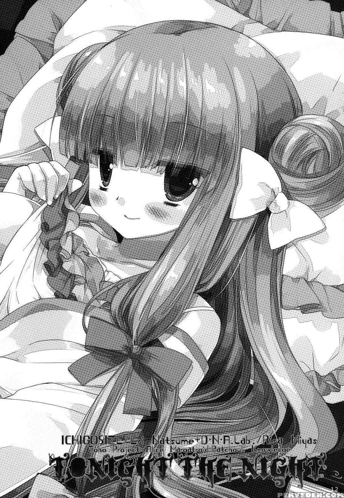 (reitaisai 9) [d.n.a.lab., Ichigo Size (miyasu Risa, Natsume Eri)] Tonight The Night (touhou Project) [english] {hennojin} Chapter 1 Page 11