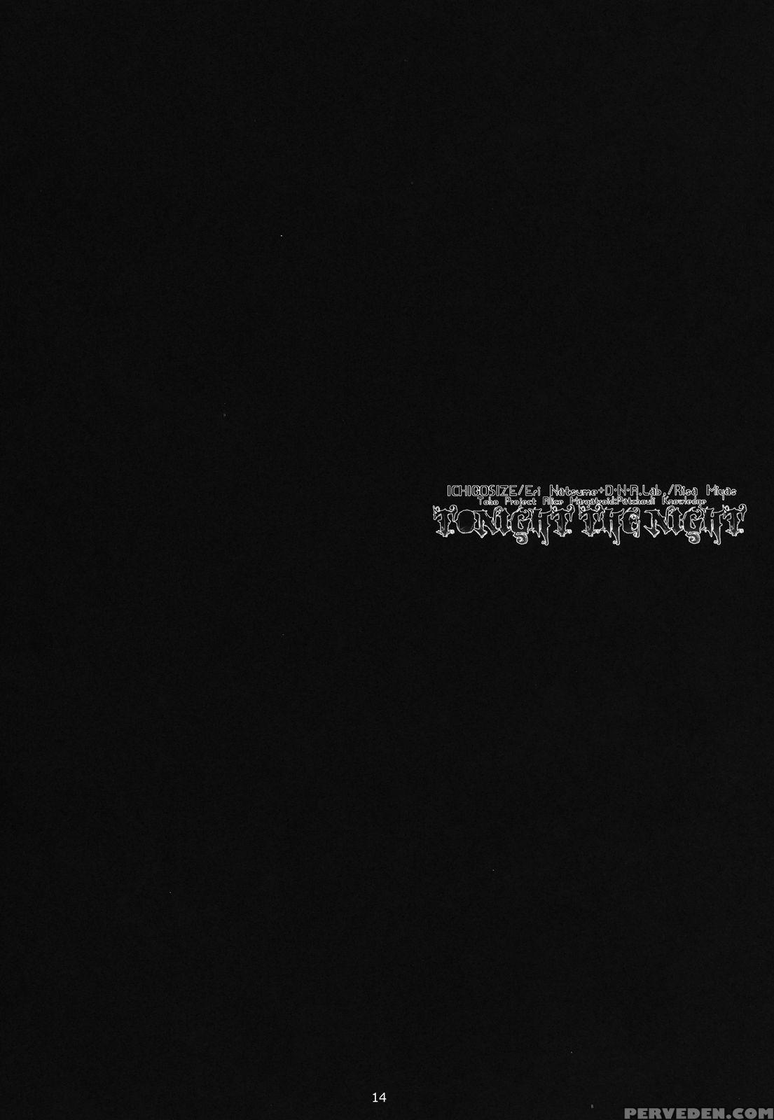 (reitaisai 9) [d.n.a.lab., Ichigo Size (miyasu Risa, Natsume Eri)] Tonight The Night (touhou Project) [english] {hennojin} Chapter 1 Page 13