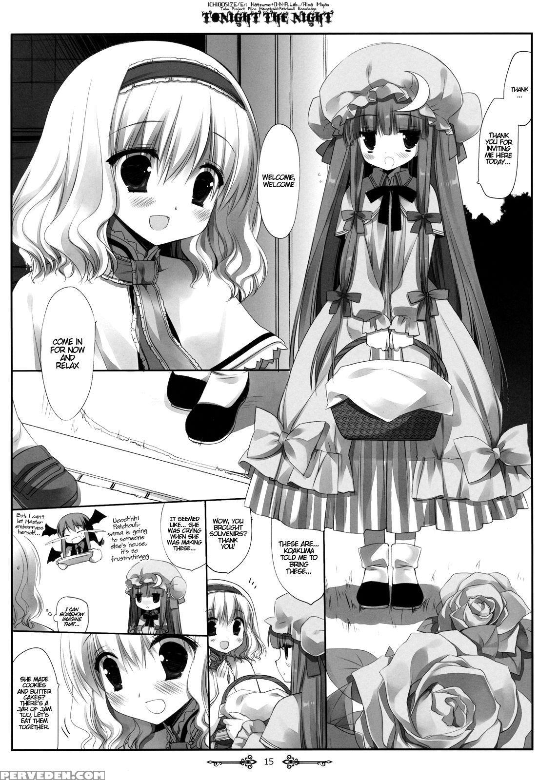 (reitaisai 9) [d.n.a.lab., Ichigo Size (miyasu Risa, Natsume Eri)] Tonight The Night (touhou Project) [english] {hennojin} Chapter 1 Page 14