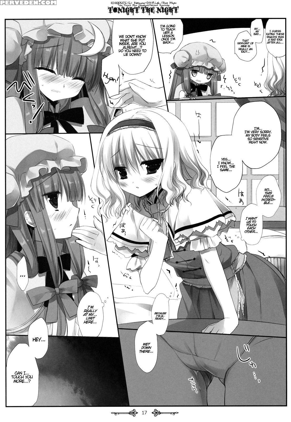 (reitaisai 9) [d.n.a.lab., Ichigo Size (miyasu Risa, Natsume Eri)] Tonight The Night (touhou Project) [english] {hennojin} Chapter 1 Page 16