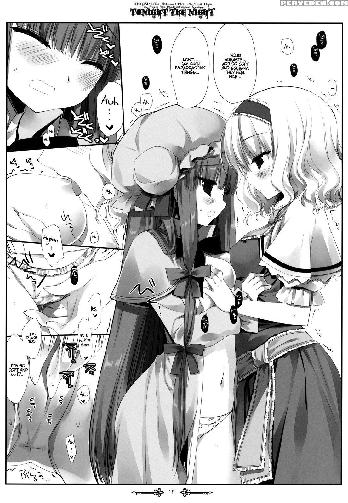 (reitaisai 9) [d.n.a.lab., Ichigo Size (miyasu Risa, Natsume Eri)] Tonight The Night (touhou Project) [english] {hennojin} Chapter 1 Page 17