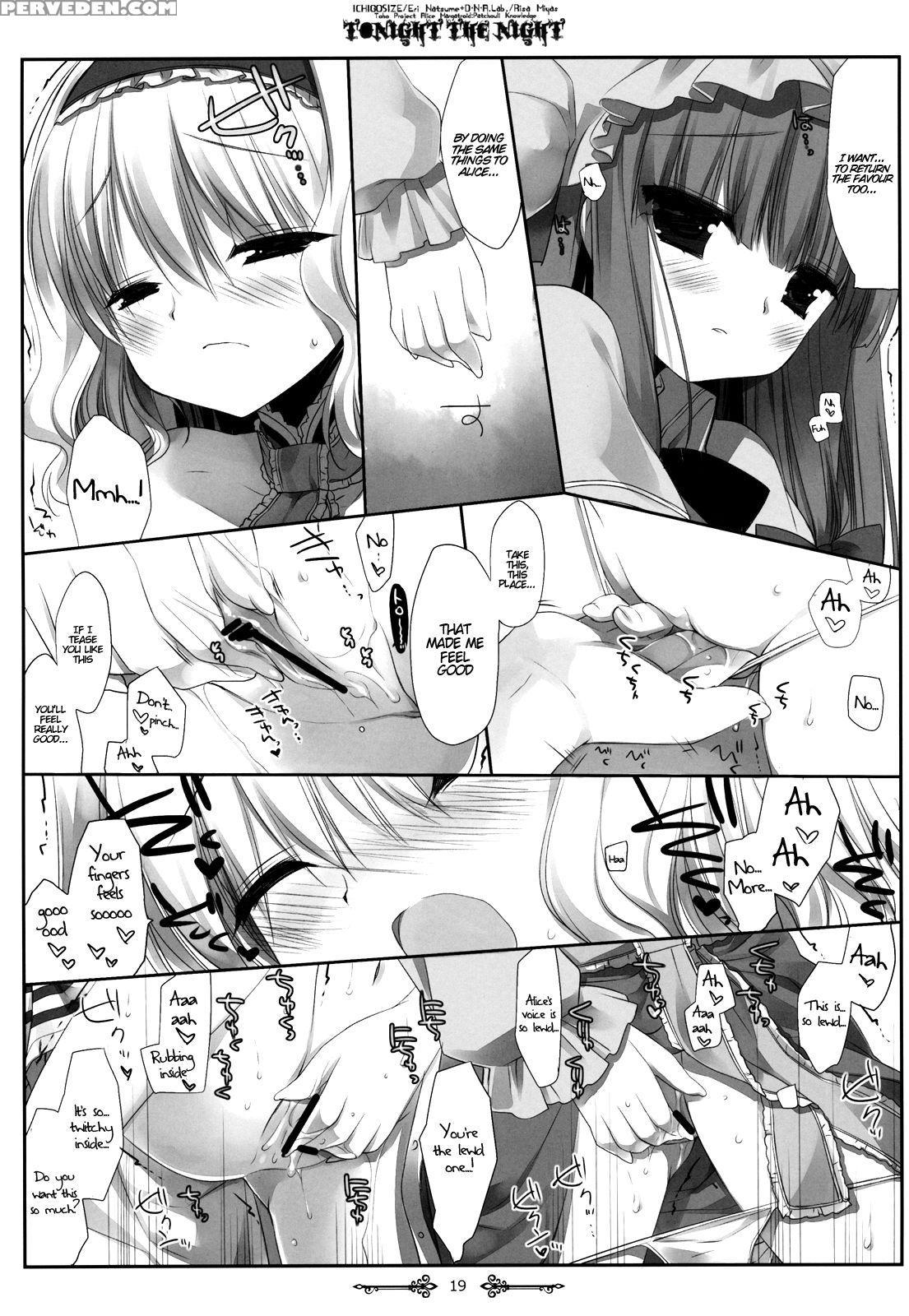 (reitaisai 9) [d.n.a.lab., Ichigo Size (miyasu Risa, Natsume Eri)] Tonight The Night (touhou Project) [english] {hennojin} Chapter 1 Page 18