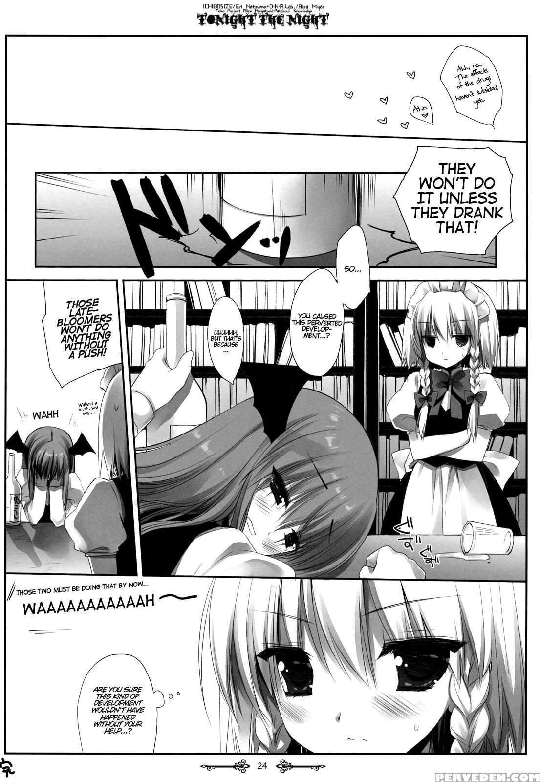 (reitaisai 9) [d.n.a.lab., Ichigo Size (miyasu Risa, Natsume Eri)] Tonight The Night (touhou Project) [english] {hennojin} Chapter 1 Page 23