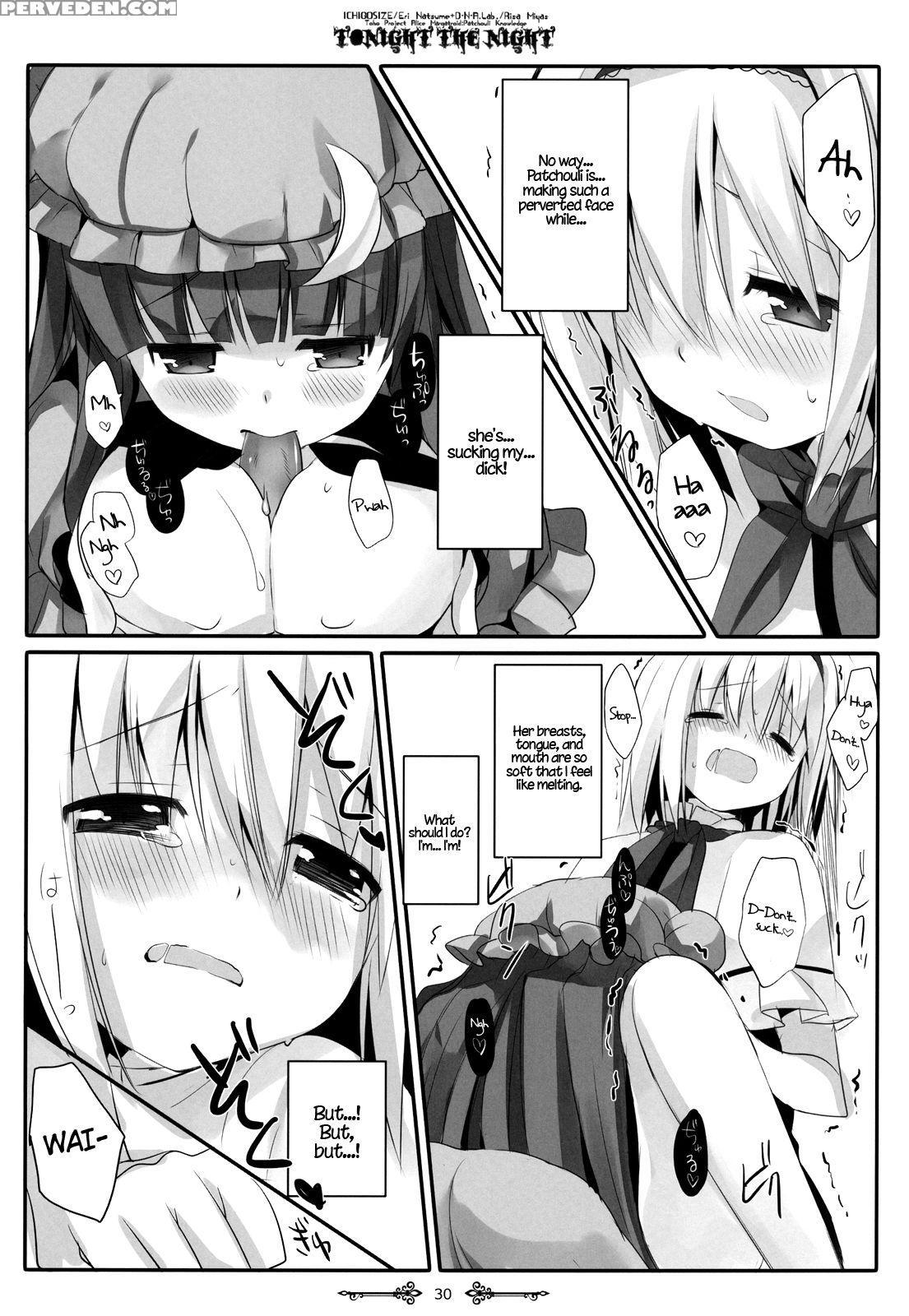 (reitaisai 9) [d.n.a.lab., Ichigo Size (miyasu Risa, Natsume Eri)] Tonight The Night (touhou Project) [english] {hennojin} Chapter 1 Page 29