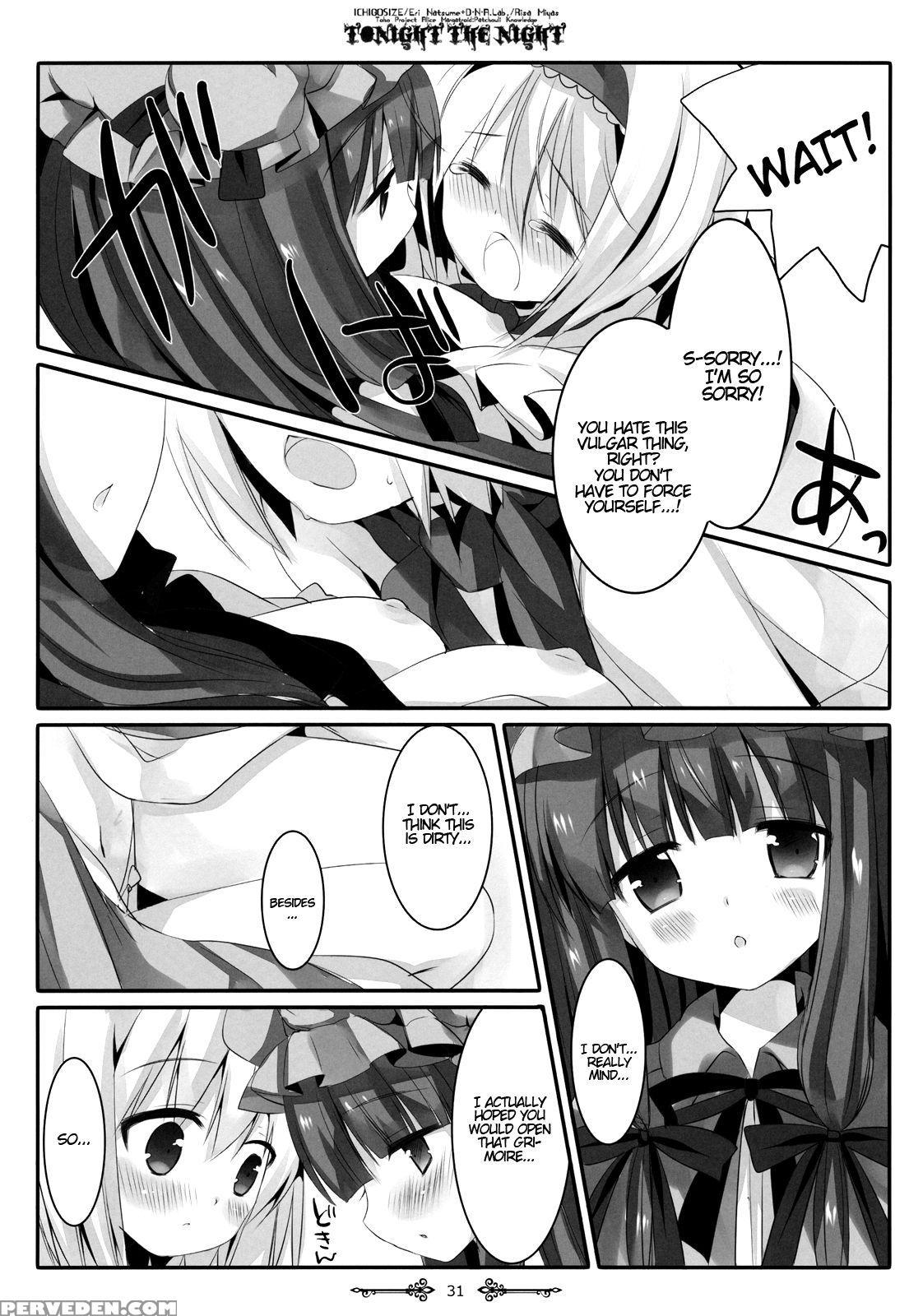 (reitaisai 9) [d.n.a.lab., Ichigo Size (miyasu Risa, Natsume Eri)] Tonight The Night (touhou Project) [english] {hennojin} Chapter 1 Page 30