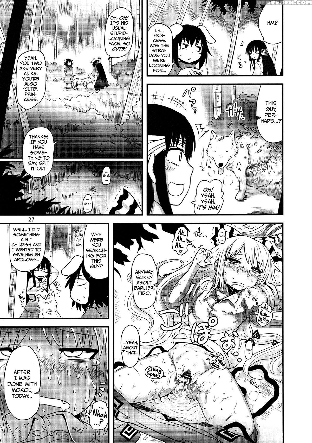 (reitaisai 9) [fugodoku (katou Fuguo)] Surudake San. (touhou Project) [english] [rqwrqw] 1