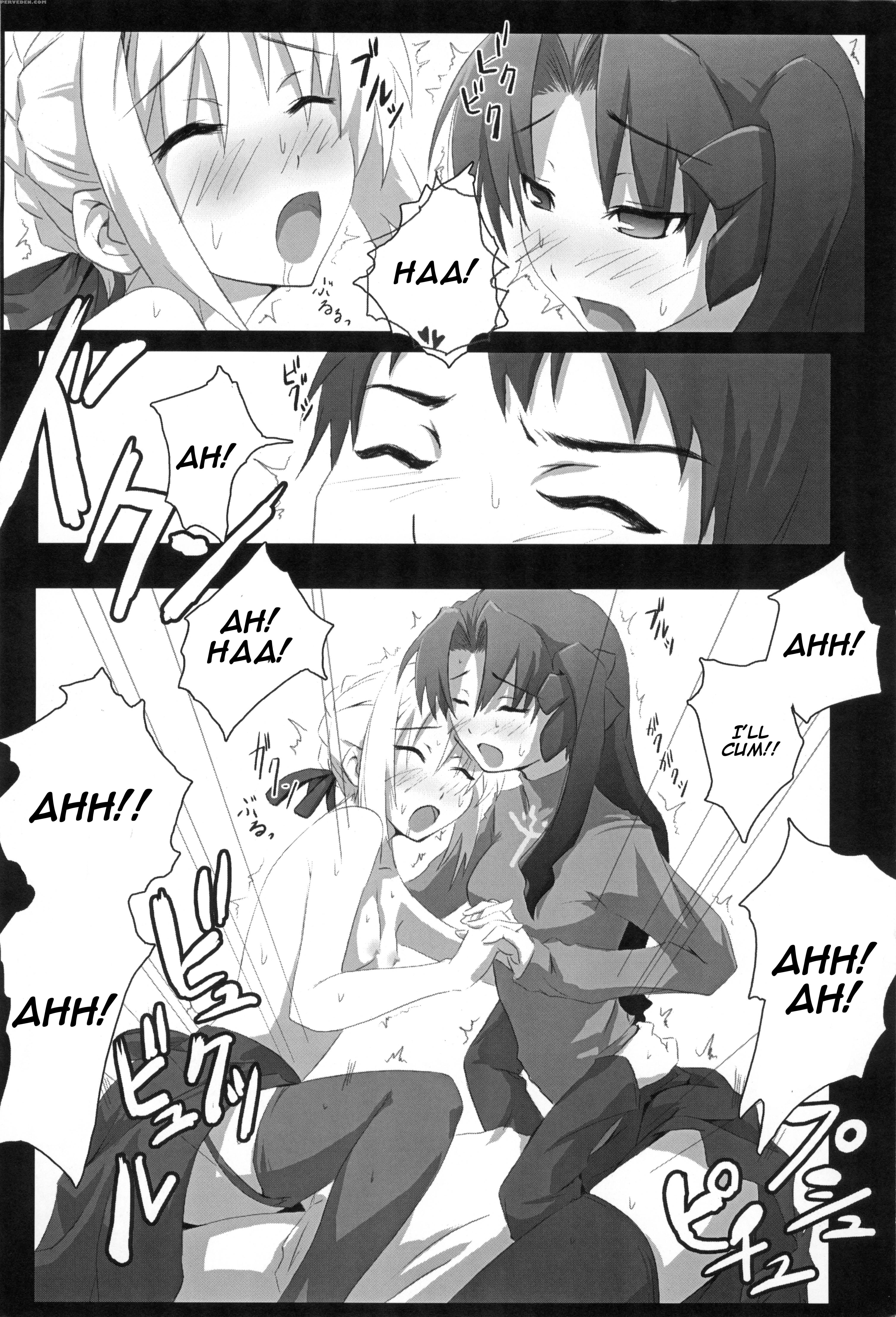 (sc32) [inu Ringo, Nilitsu Haihan (nilitsui)] About18cm 3rd (fate Stay Night) [english] [cgrascal] 1