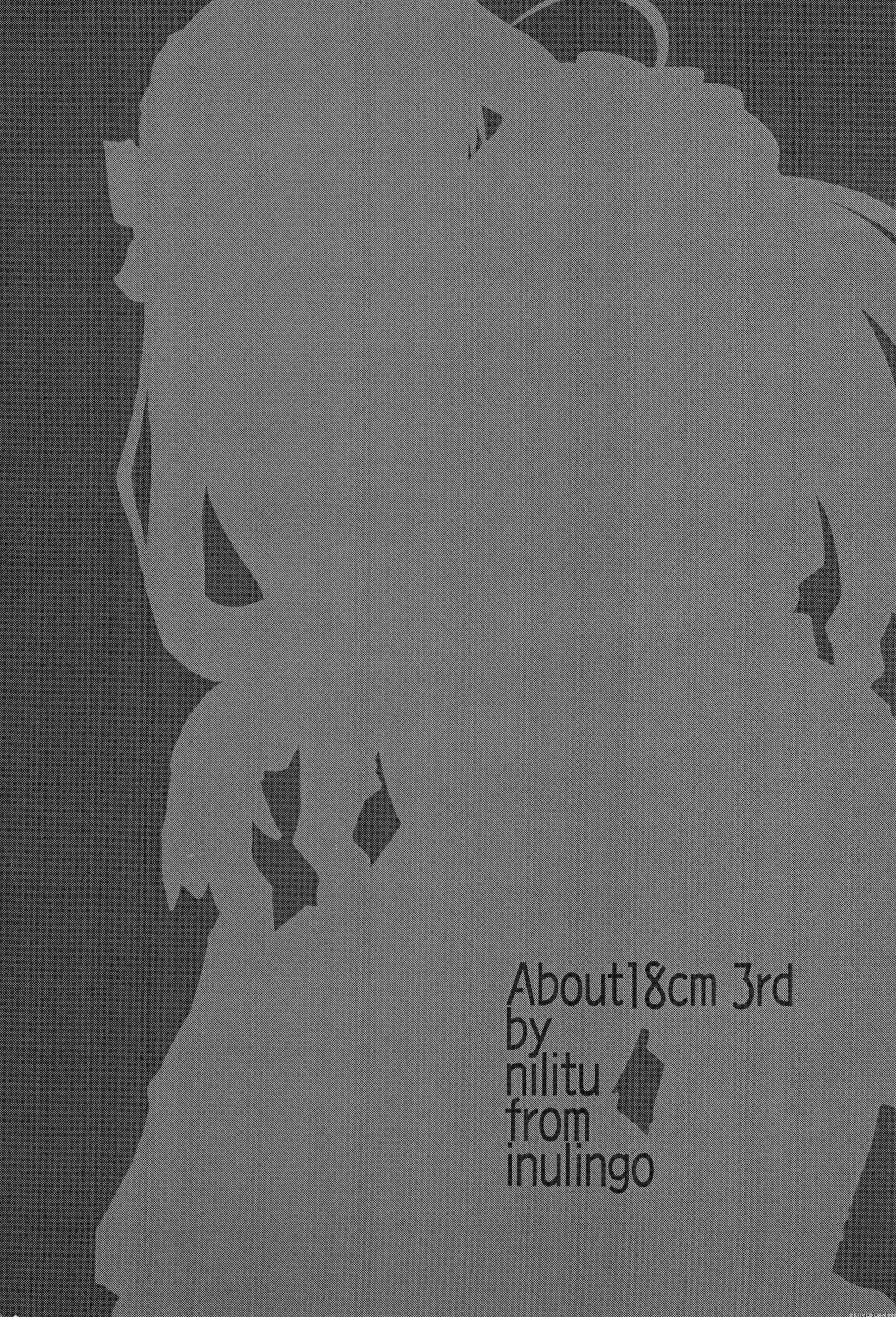 (sc32) [inu Ringo, Nilitsu Haihan (nilitsui)] About18cm 3rd (fate Stay Night) [english] [cgrascal] 1