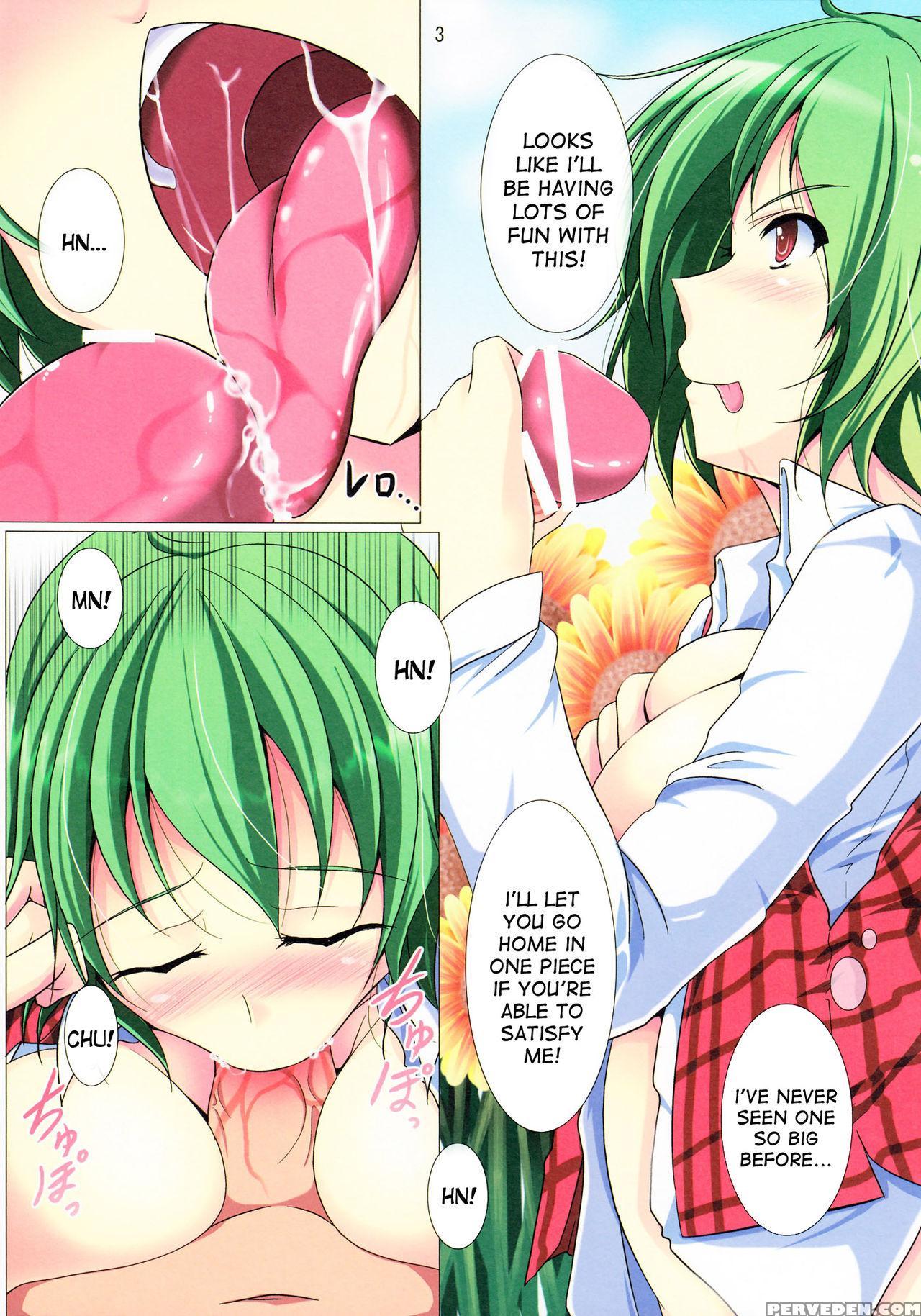 (sc53) [penetrate (reiha)] Yuuka H Taiyou No Hata Nite (touhou Project) [english] [desudesu] 1