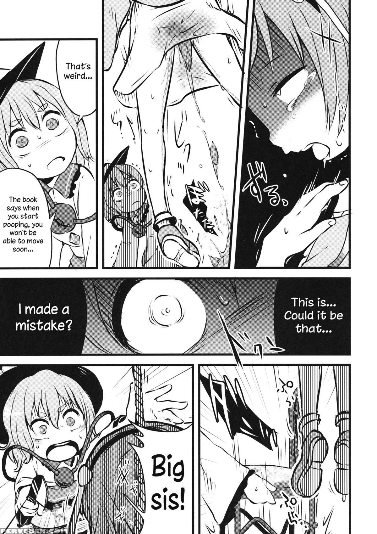 (shuuki Reitaisai 2) [02 (harasaki)] Happy Birthday My Sister (touhou Project) [english] 1