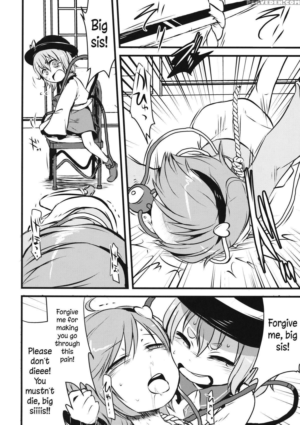 (shuuki Reitaisai 2) [02 (harasaki)] Happy Birthday My Sister (touhou Project) [english] 1