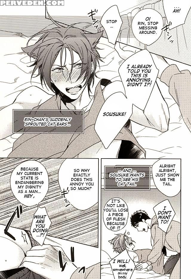 (spark10) [uro (amama)] Neko To Sousuke | Cat And Sousuke (free!) [english] [carrot-bunny] 1