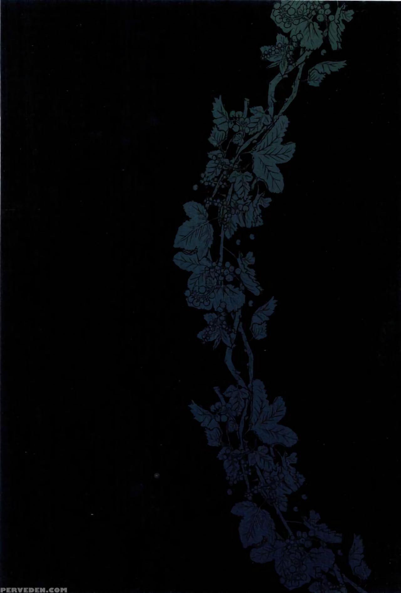 (spark12) [sainome (sunako)] Hariko No Tora No Ais... 1