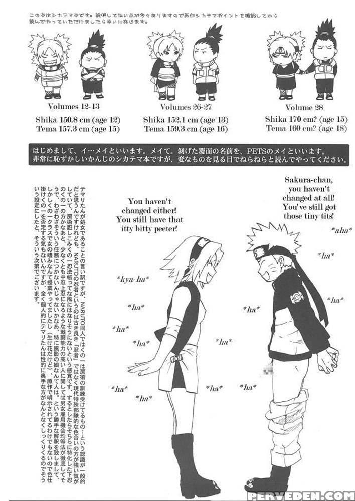 +3 - Naruto Chapter 1 Page 3