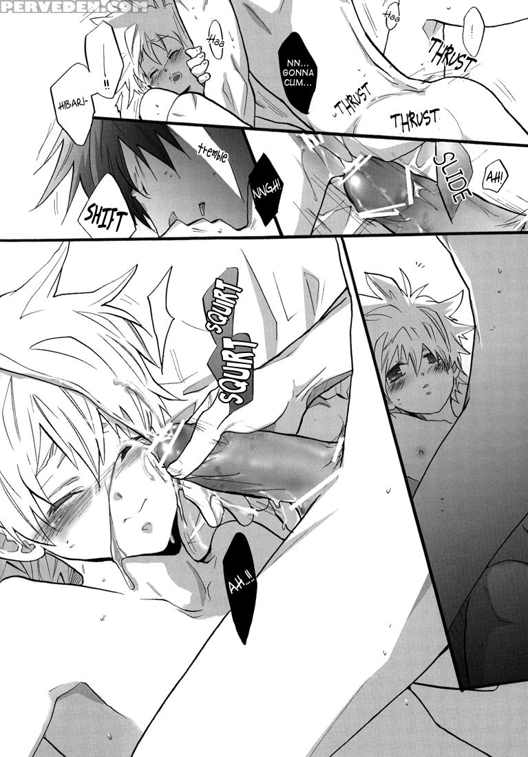 [7 Men Zippo (kamishima Akira)] Onsen Ryokou | Hot Springs Trip (katekyo Hitman Reborn!) [english] [lady Phantomhive] 1