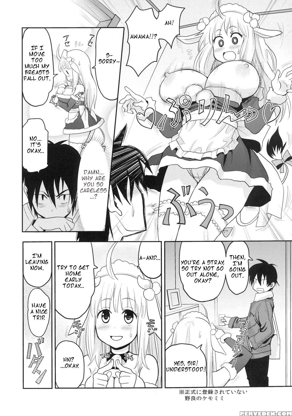 [a.o.i (ryoji)] Kemomimi! 3 ~christmas Hen~ [english] [heart And Feather] 1