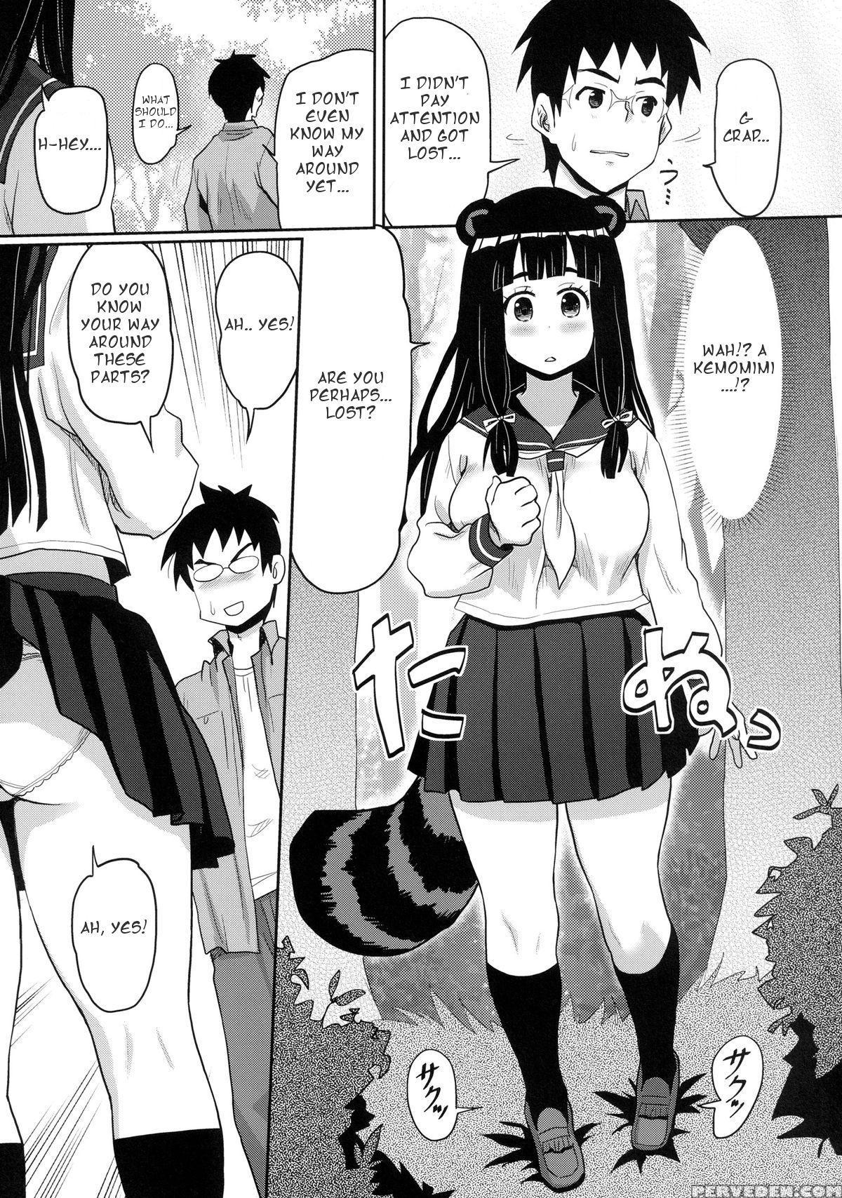 [a.o.i (ryoji)] Kemomimi! 5 ~tanuki Musume Toujou Hen~ [english] [heart And Feather] 1