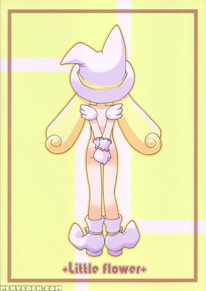 [bbb-extra (chuushin Kuranosuke)] Little Flower (ojamajo Doremi) [english] [atf] 1
