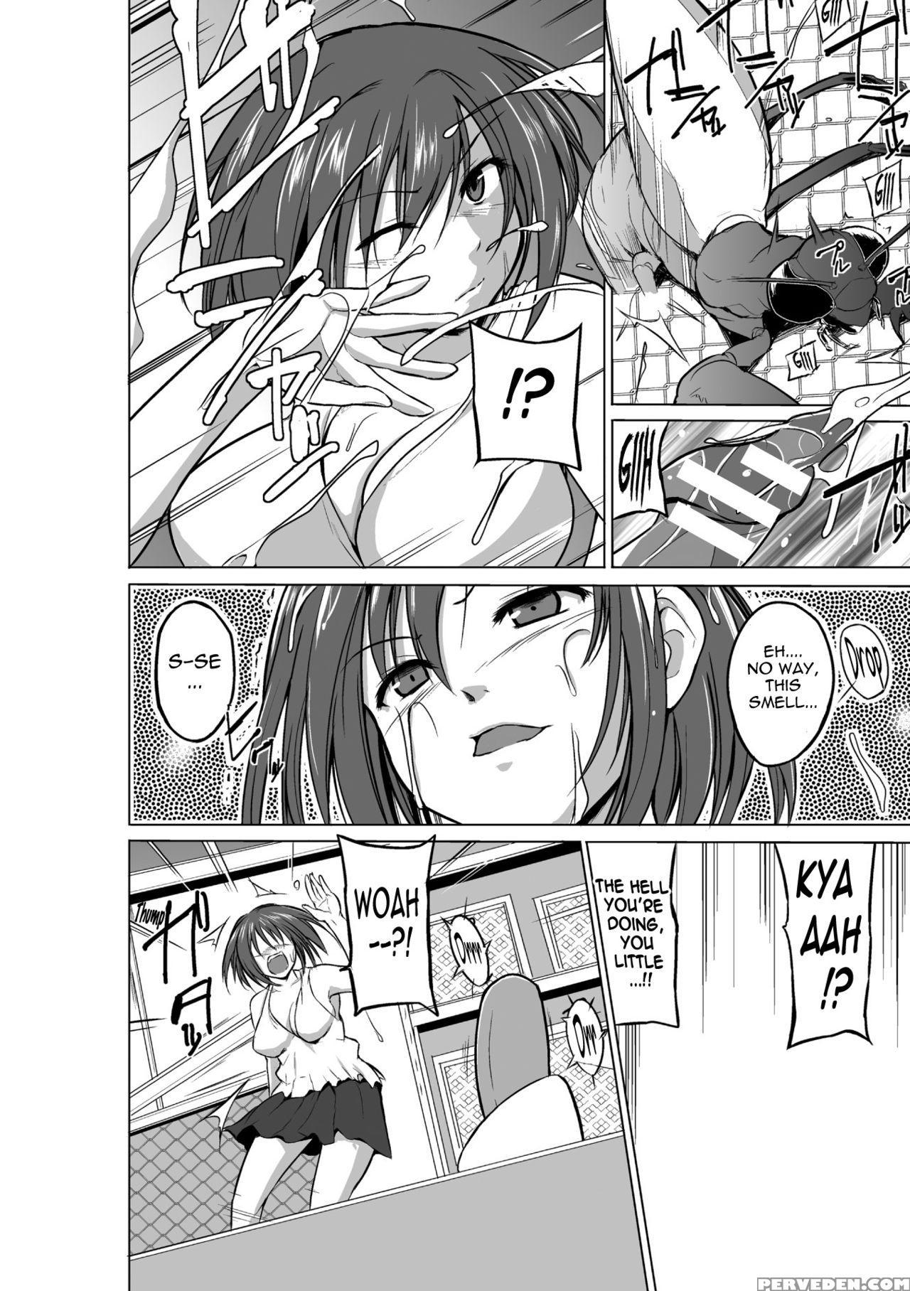 [chiba Tetsutarou] Mushi Asobi [english] [digital] 1