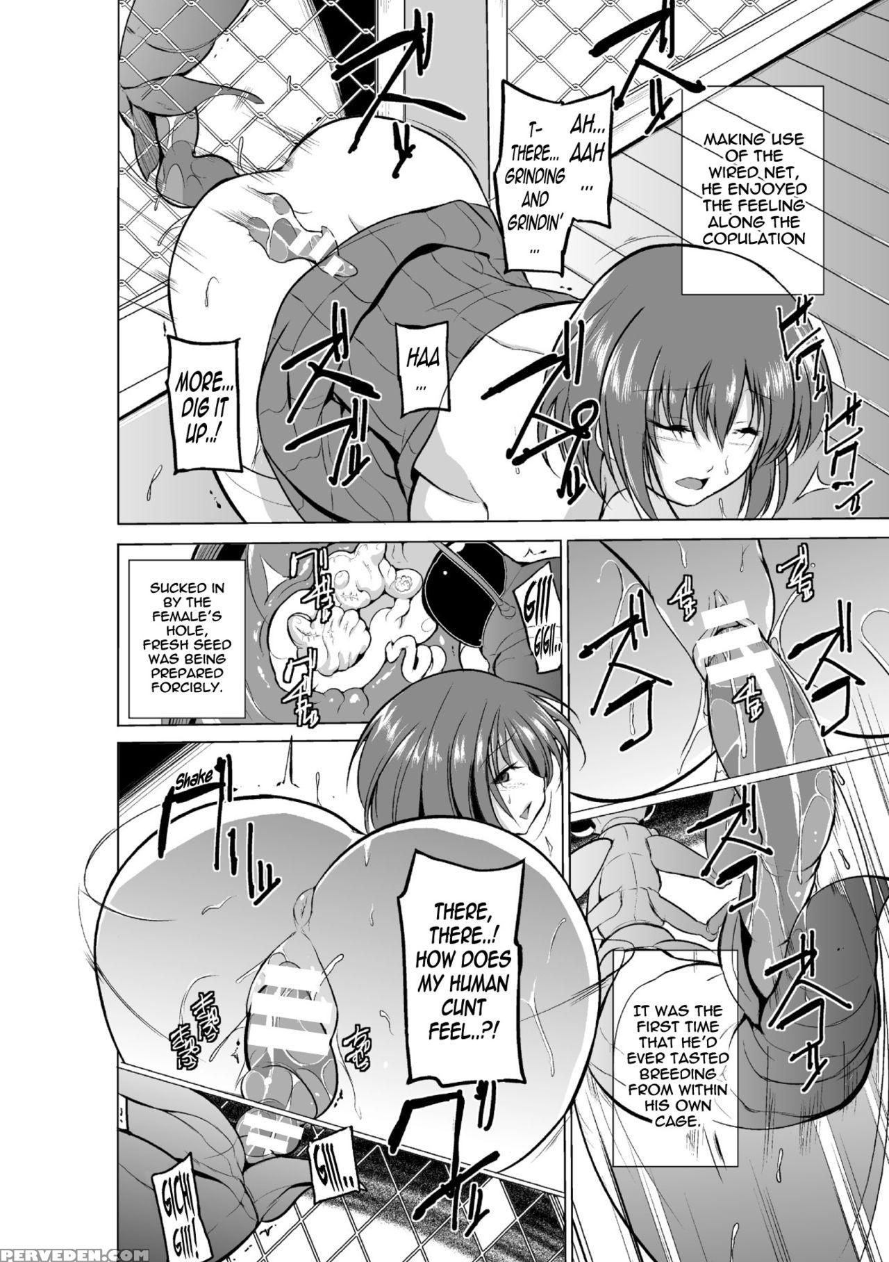 [chiba Tetsutarou] Mushi Yuugi -mant - Eng 1